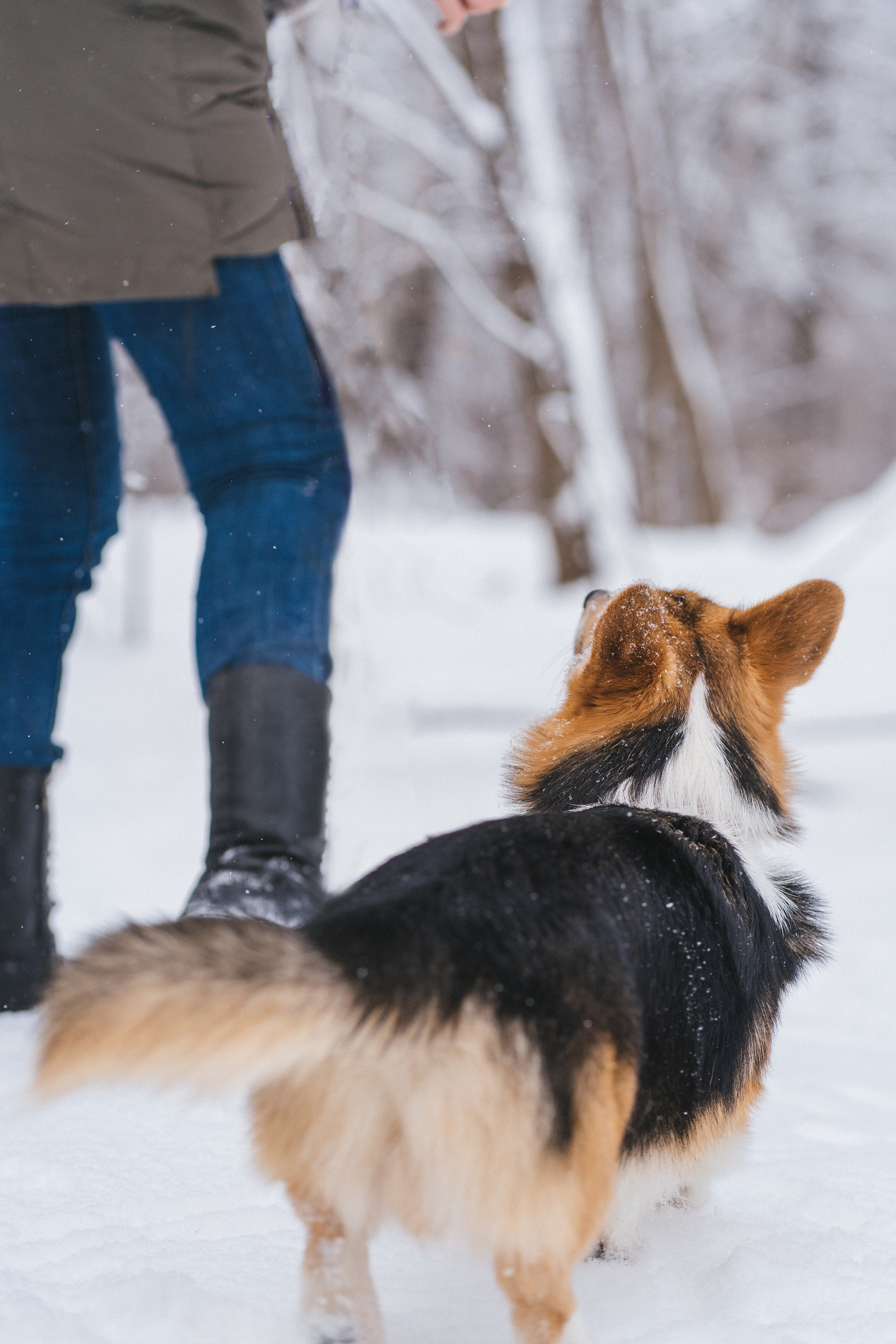 Каспер и Полина. Свадебный фотограф в Москве Анна Полушина