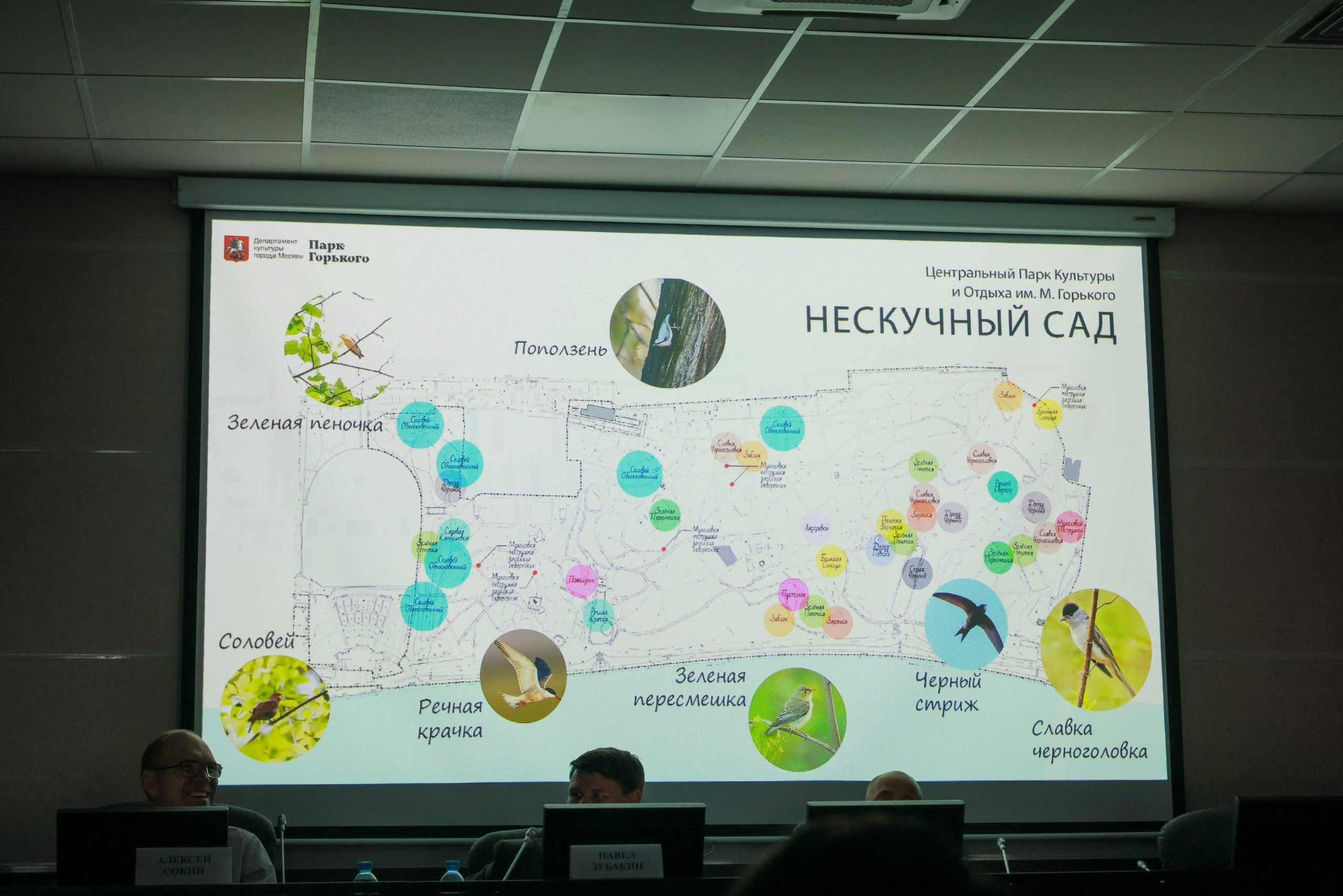 Парковый форум. Фотограф в Туле Крупский АнДРей. Фотостудия «КАДР71» в Туле