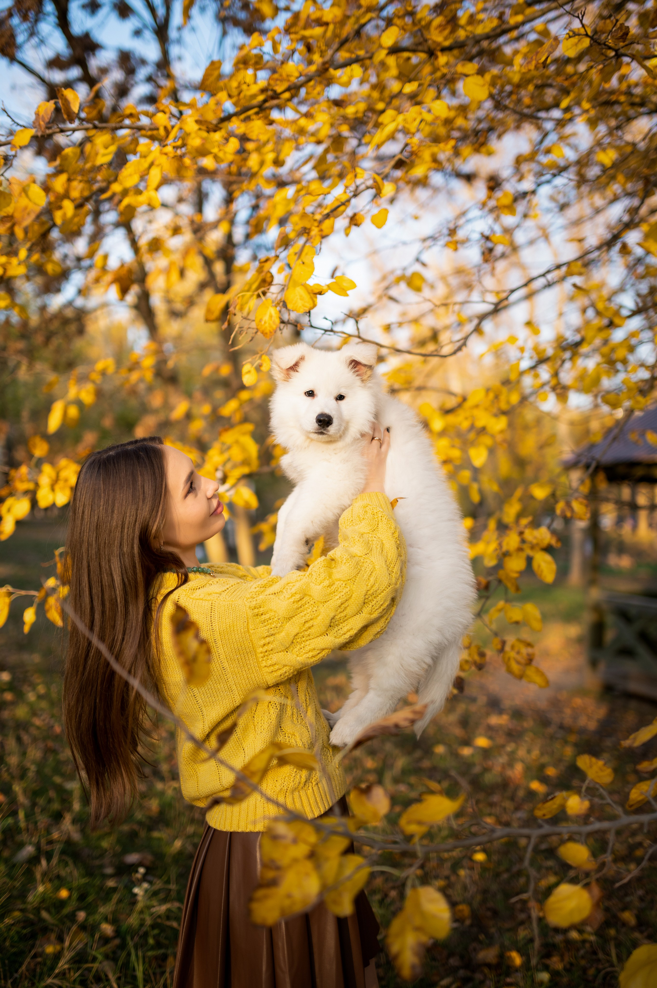 Фотосессия с домашними любимцами. Семейный и женский фотограф в Краснодаре Александра Синчук