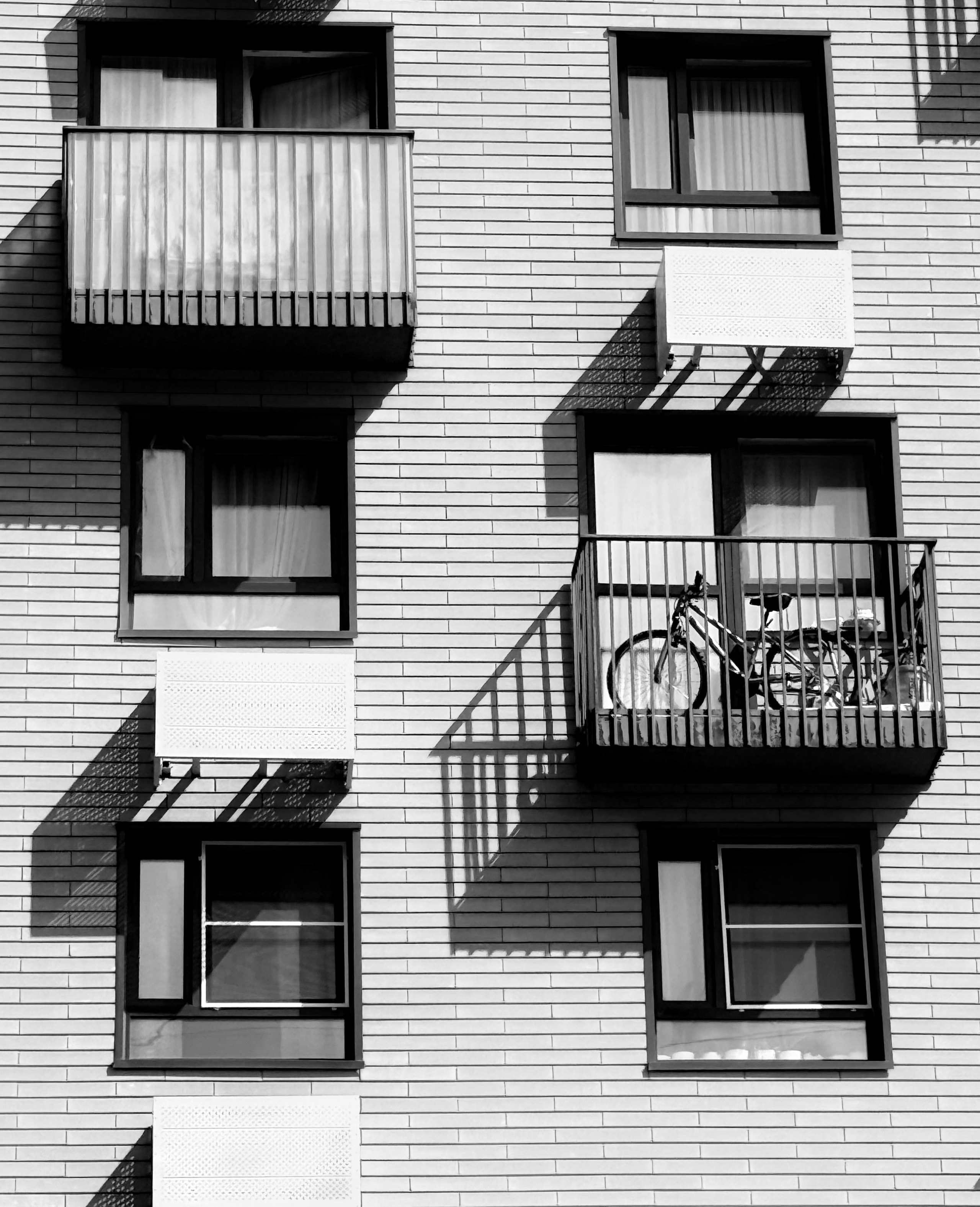 Уличный. Фотограф Арсений Королев