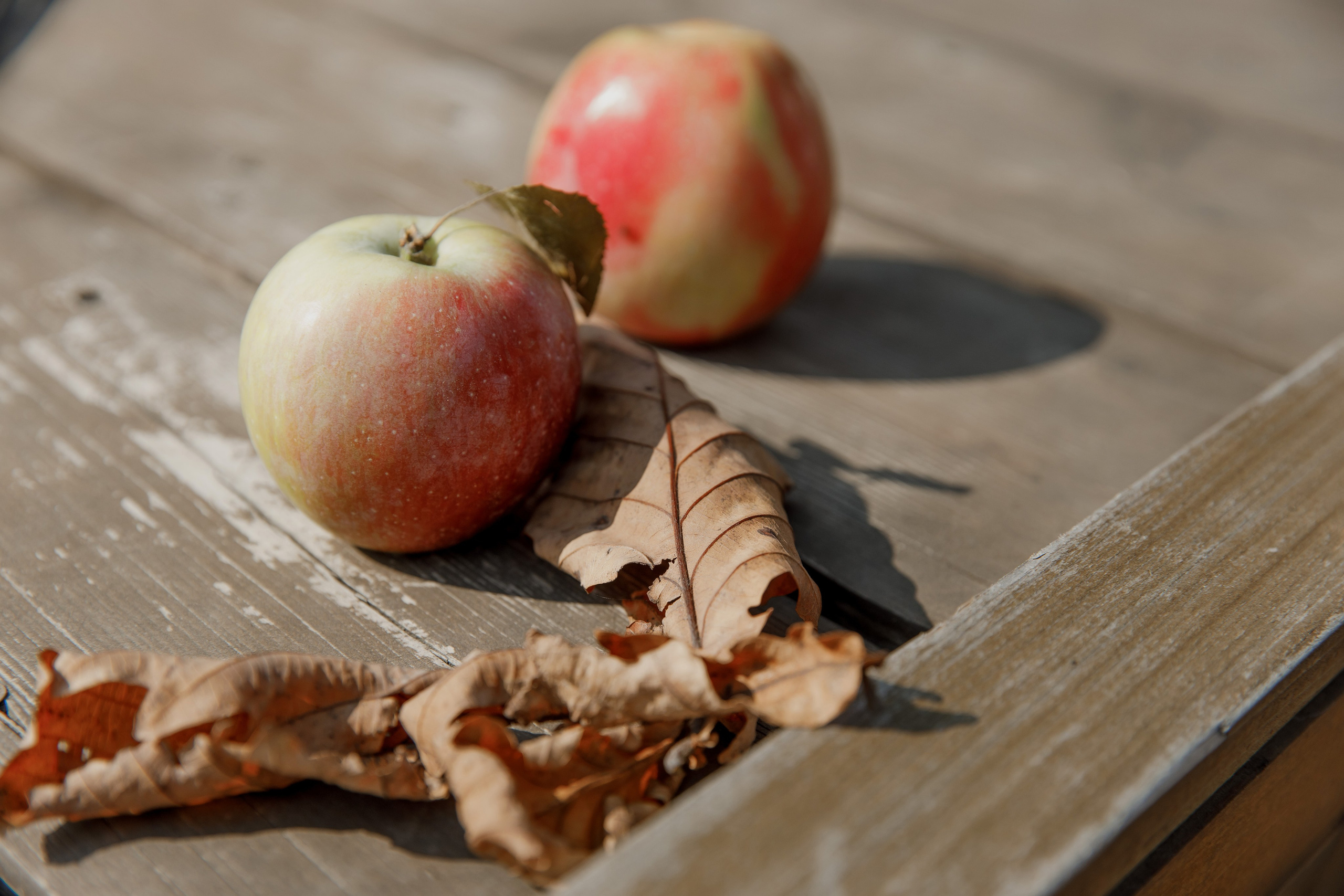 Анна и Юрий. Свадебный и семейный фотограф  во Владивостоке Ольга Украинец