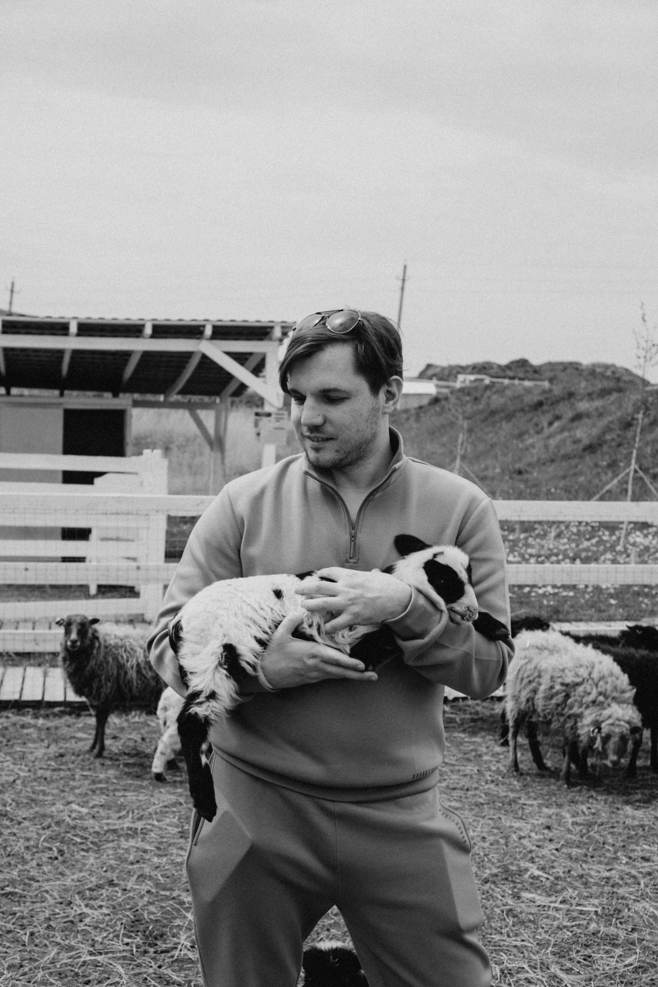 Ферма Альпак. Профессиональный фотограф, Санкт-Петербург — Виктория Богомолова