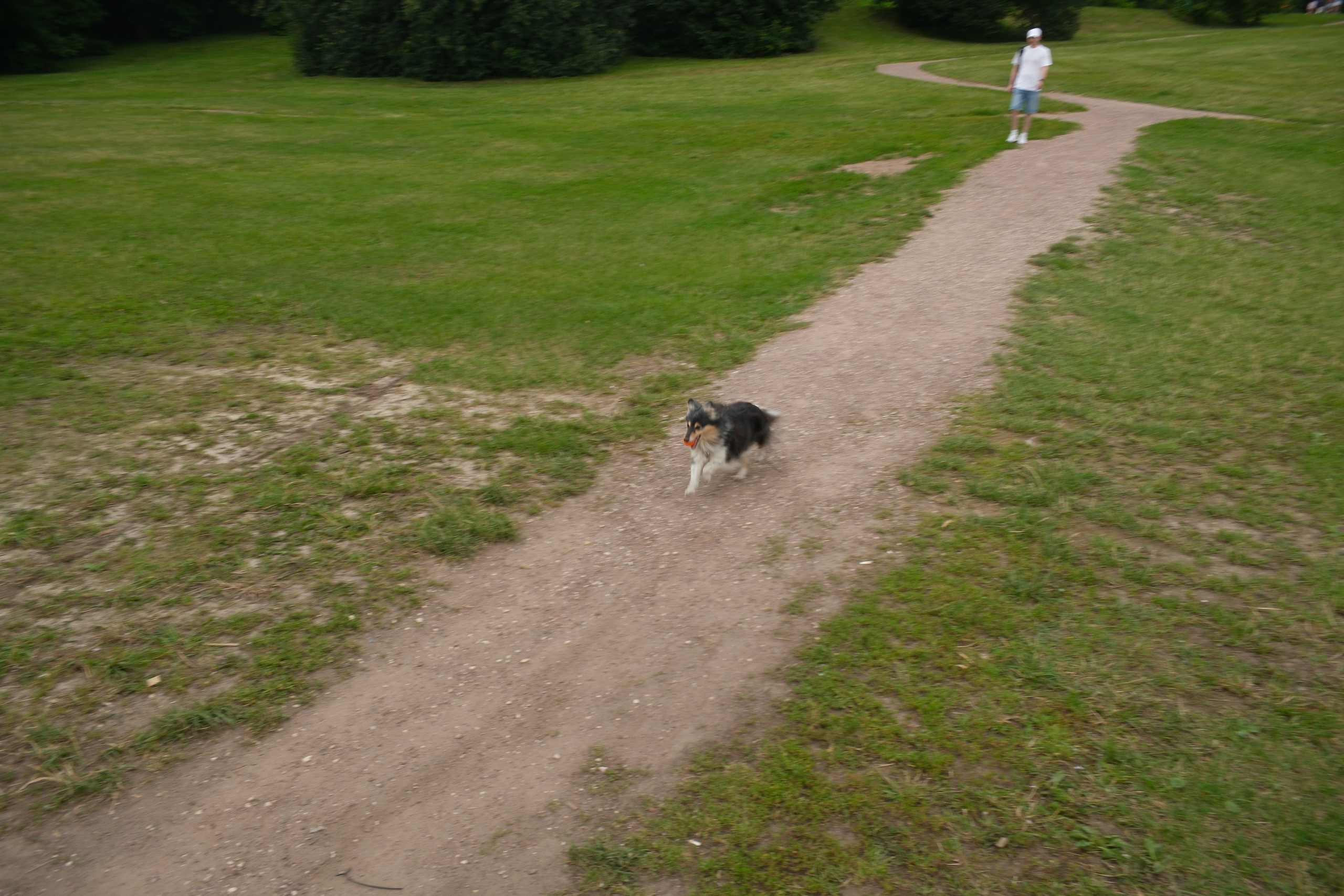 В Коломенском 07.07.2025. Улица, люди, жизнь…