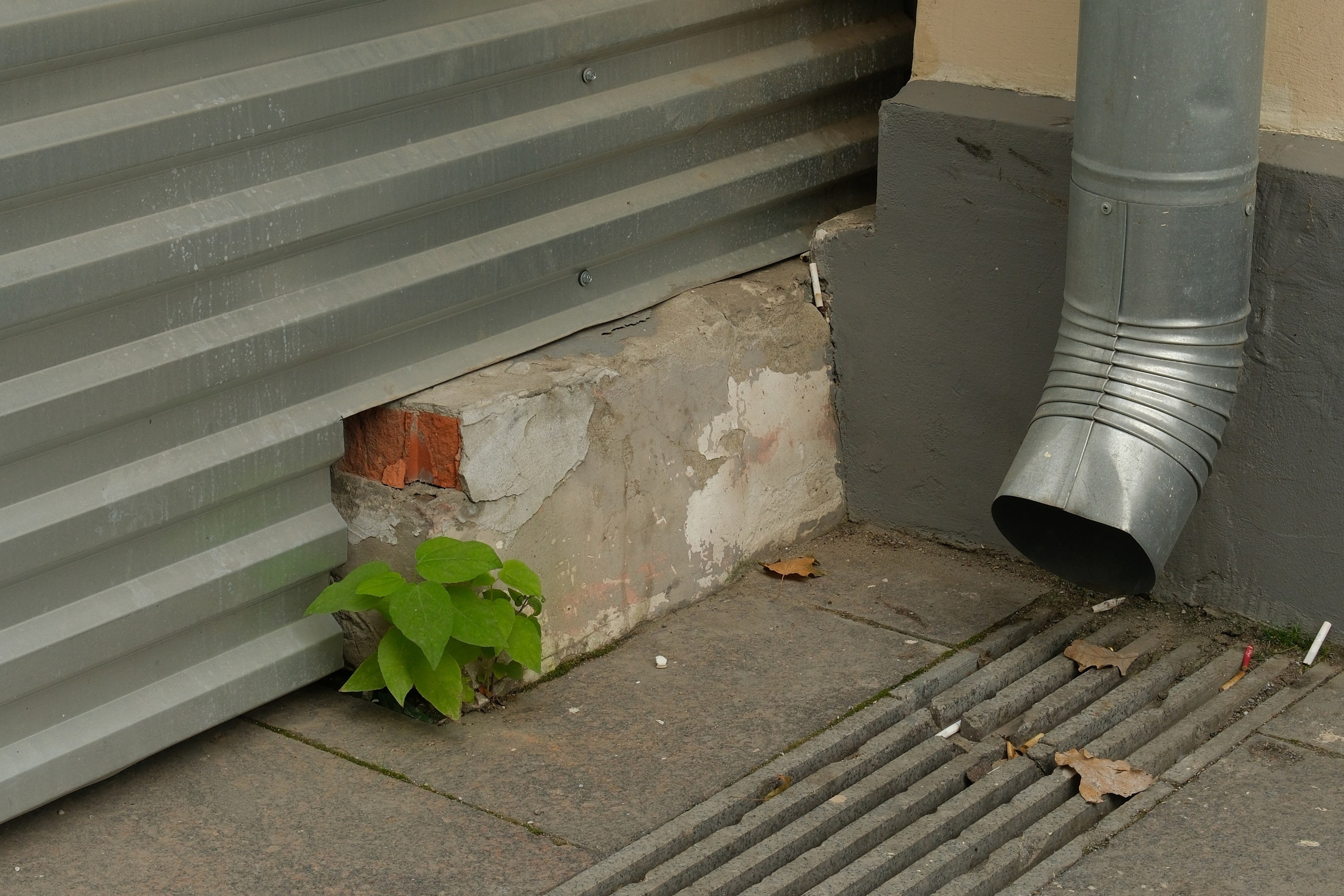 Улица, люди, жизнь…