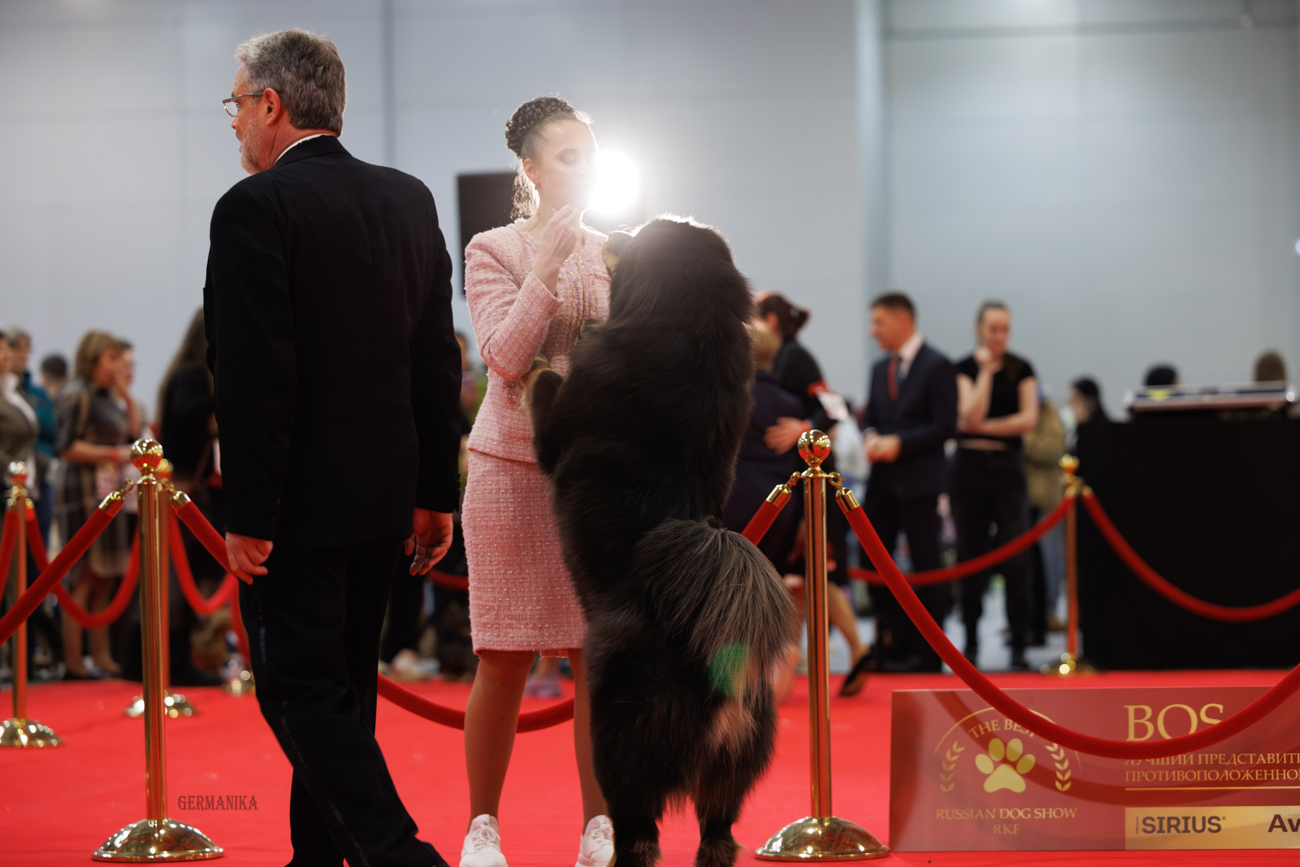Лучшие Собаки России 17-18.02.2024. Фотограф-анималист Юлия Германика