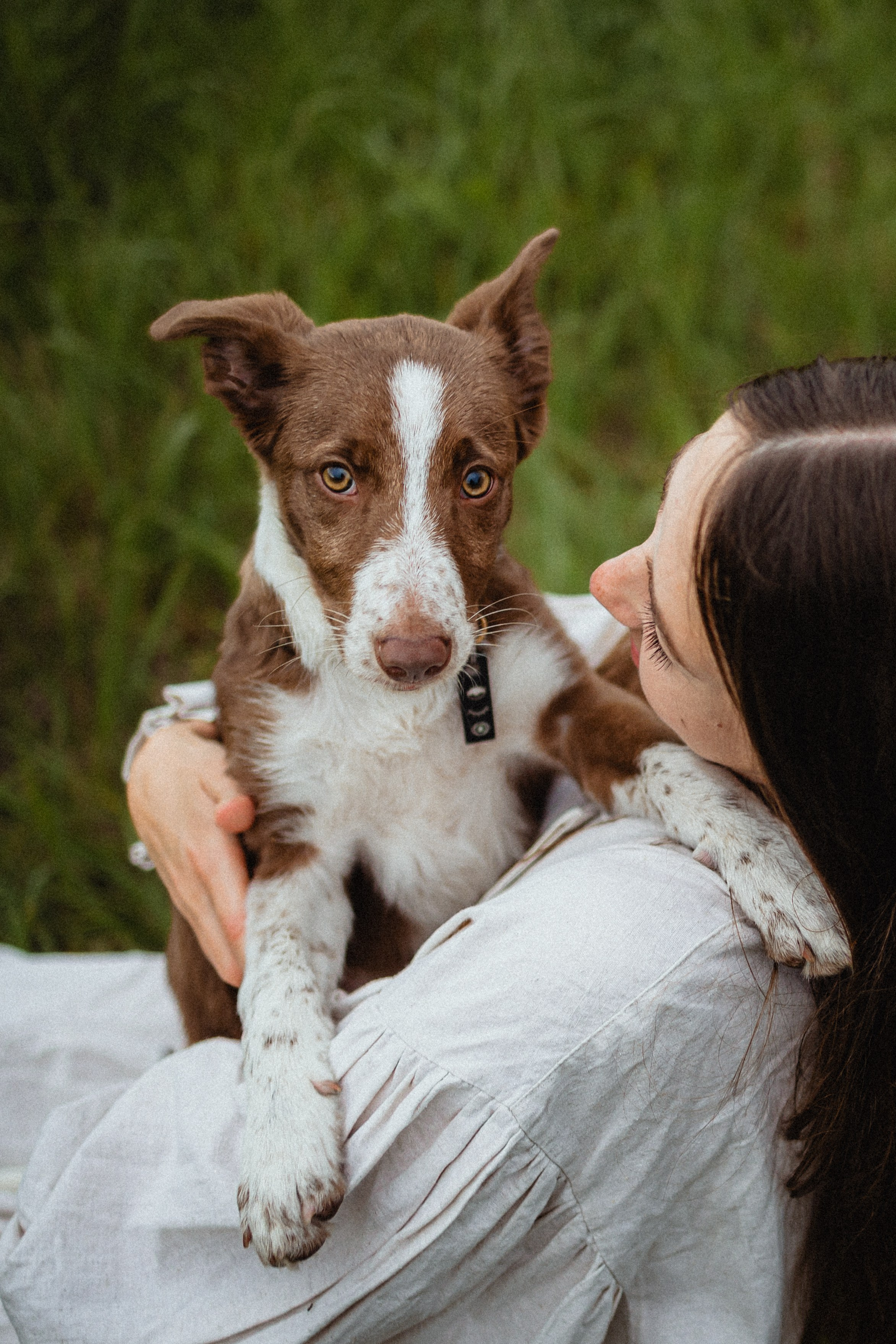 Выездной дог-тренинг от школы «Шерсть имею»