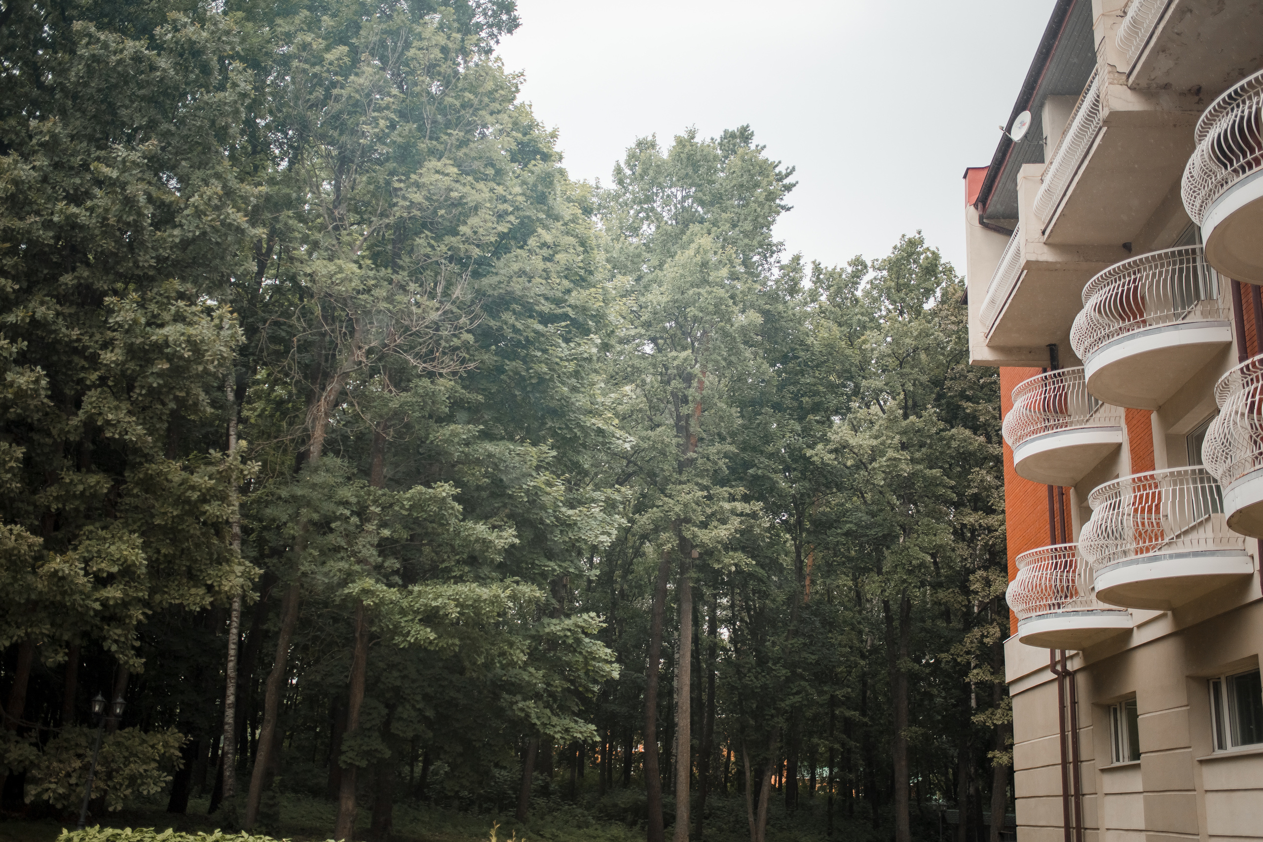 Максим и Катя. Свадебный день. Свадебный и семейный фотограф Москва Екатерина Верижникова