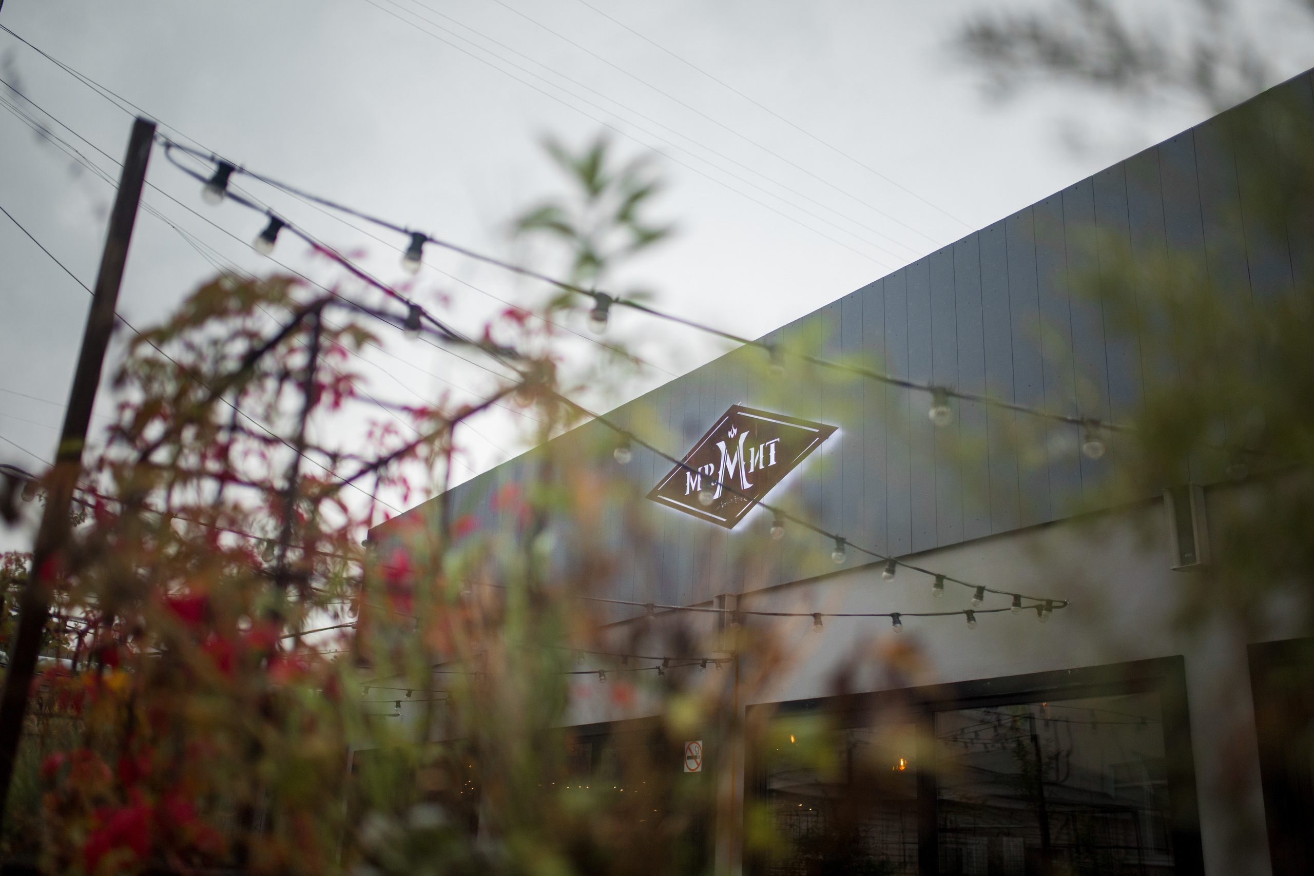 Юля и Женя. Свадебный и семейный фотограф Москва Екатерина Верижникова