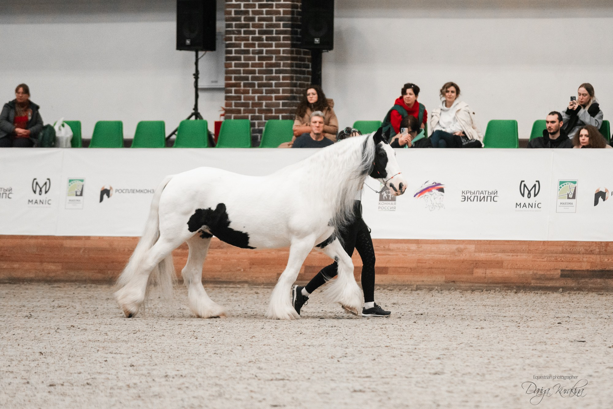 8-я международная выставка Конная Россия. Конный фотограф Куракина Дарья • Фотосессии с лошадьми