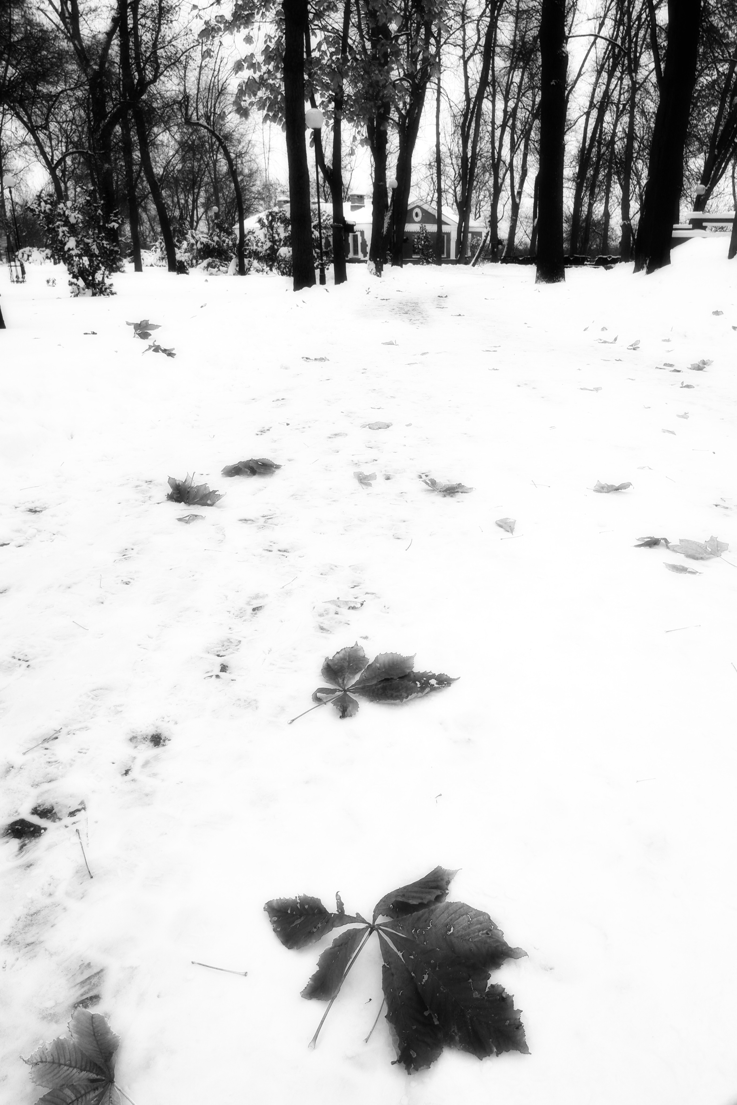 ЧБ  пейзажи (BnW landscape). Фотограф (photographer) Lischinski Vitaliy