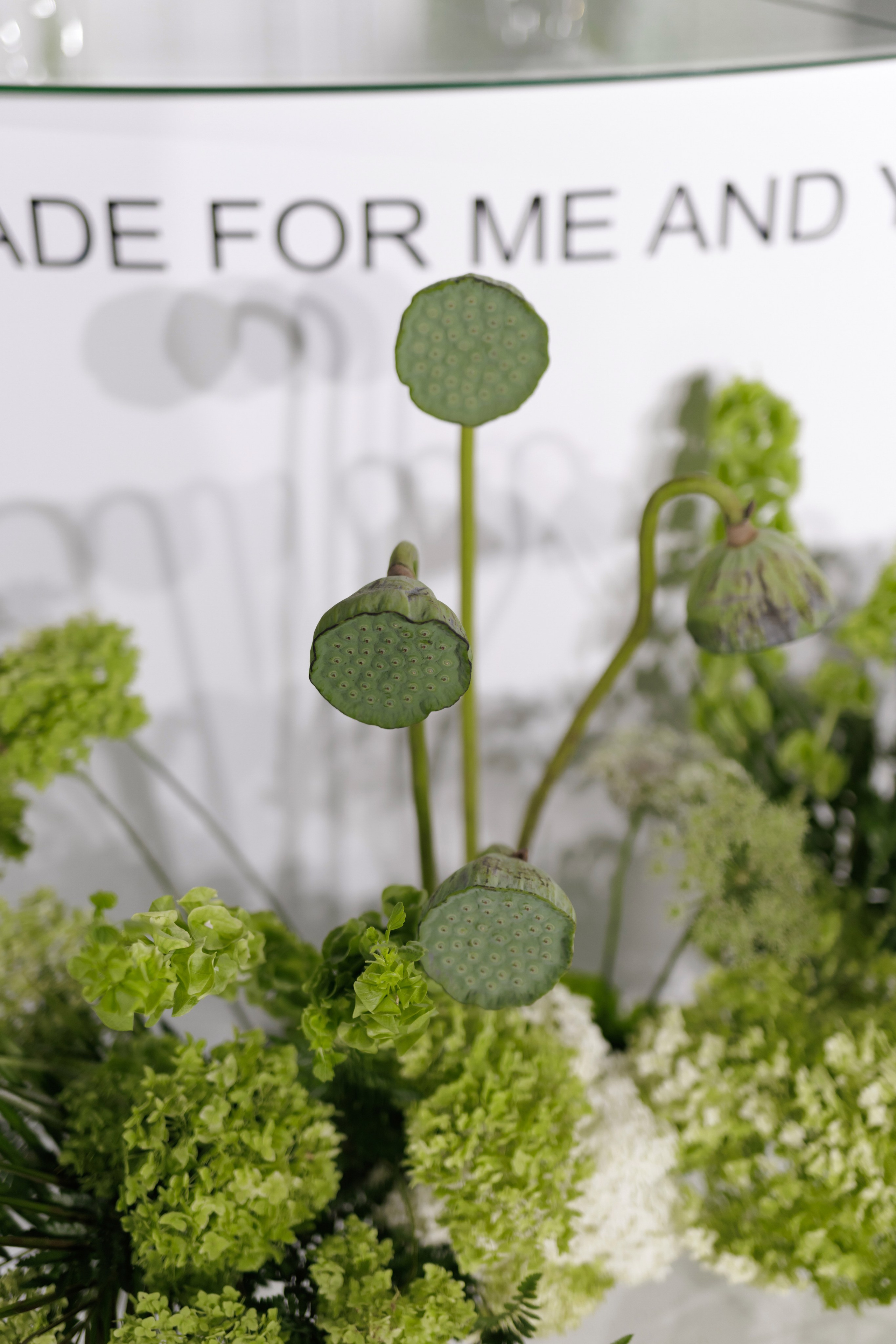 НИКИТА И ДАРЬЯ. Фотограф Светлана Буня