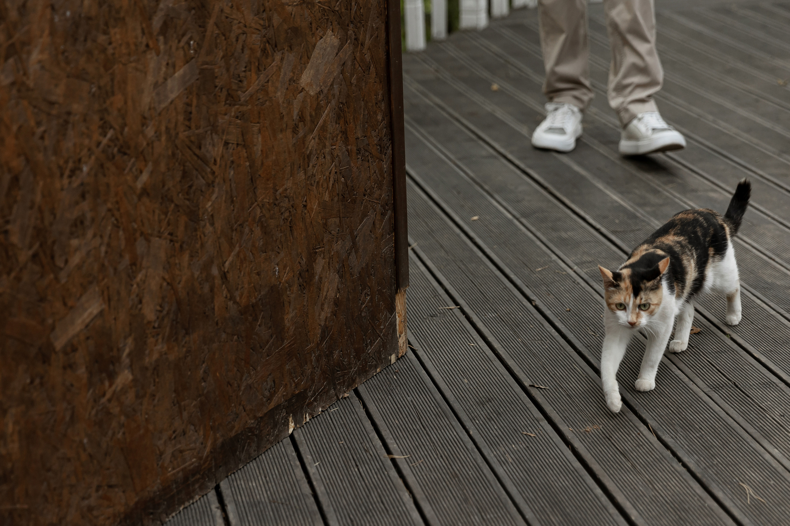 Wedding day Артем и Яна. Свадебный фотограф Колесников Антон