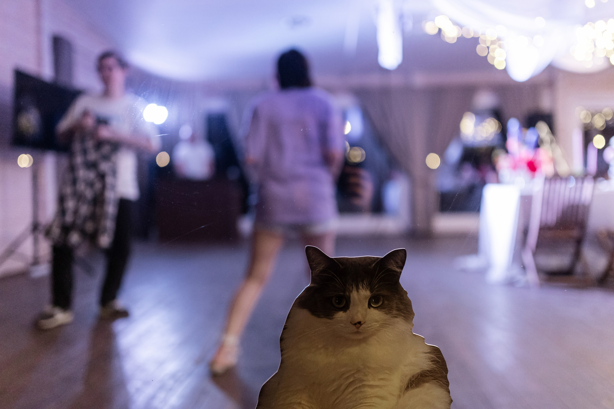 Wedding day Артем и Яна. Свадебный фотограф Колесников Антон