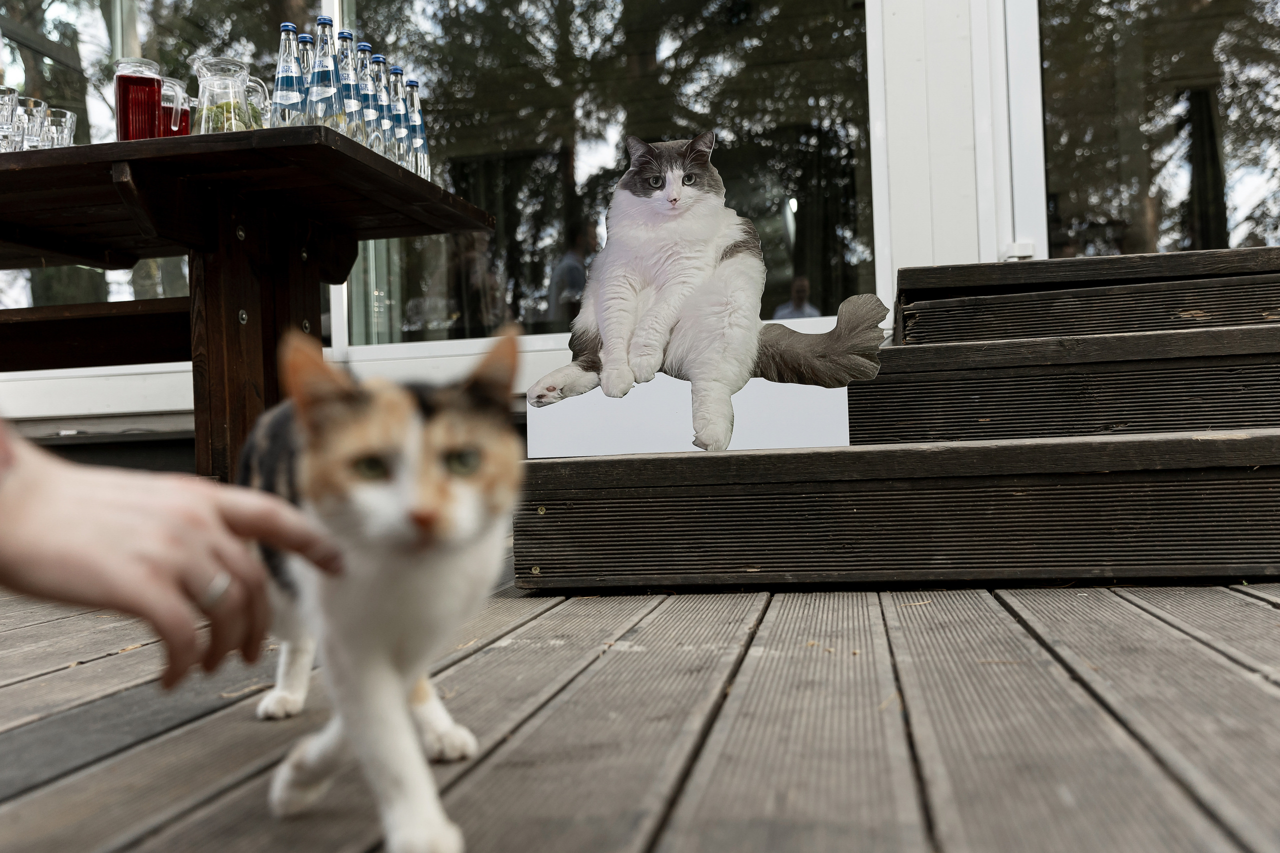Wedding day Артем и Яна. Свадебный фотограф Колесников Антон