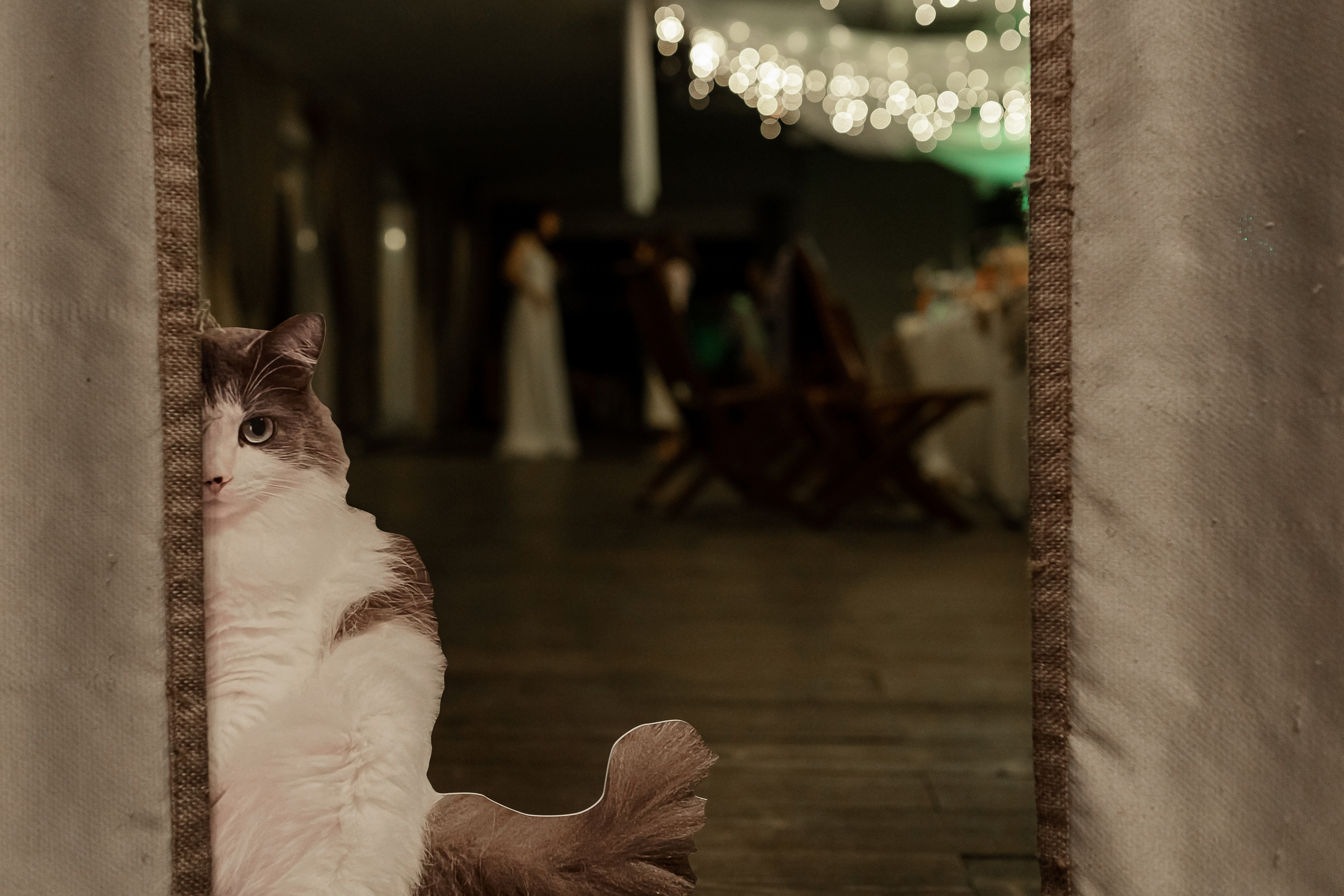 Wedding day Артем и Яна. Свадебный фотограф Колесников Антон