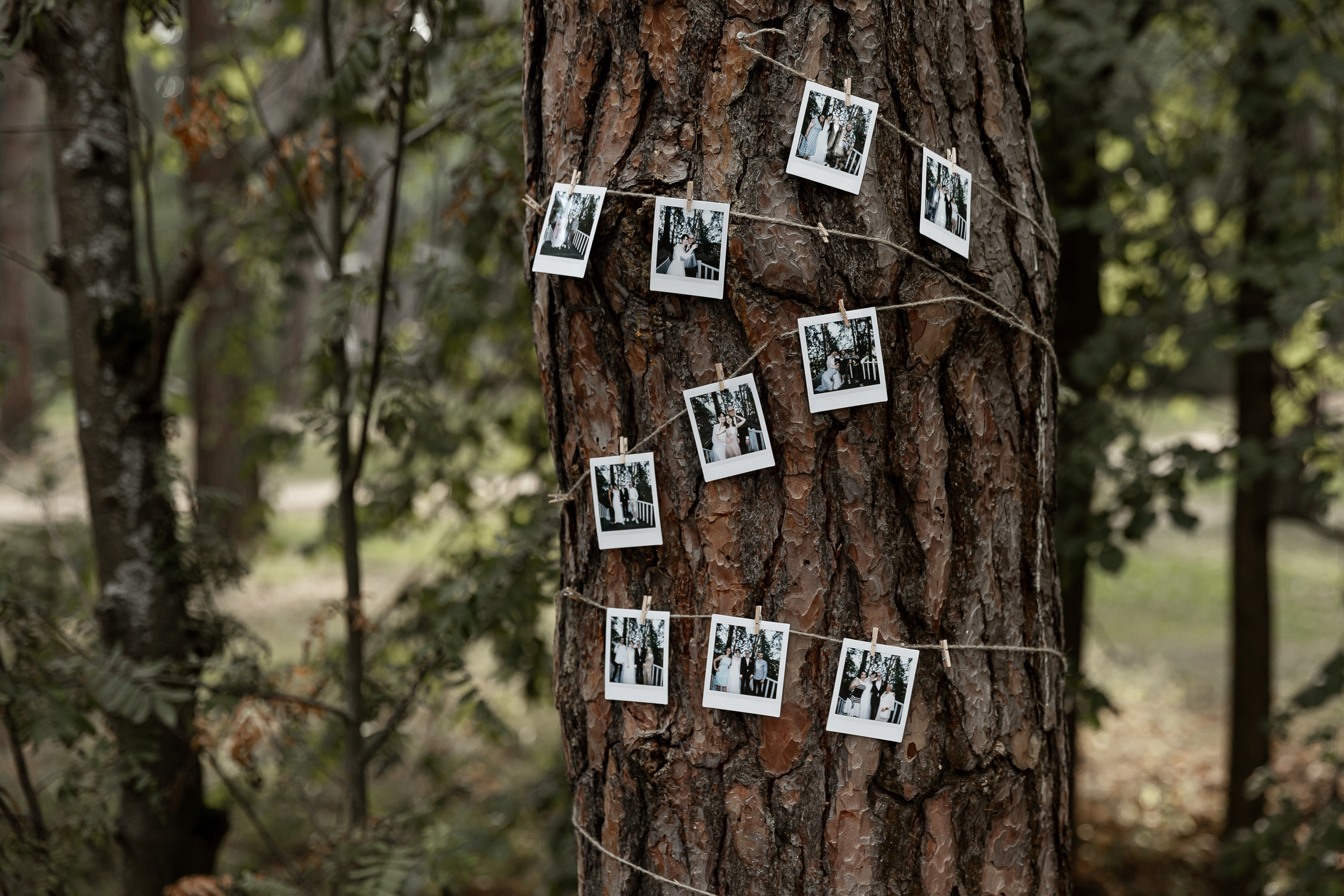 Wedding day Артем и Яна. Свадебный фотограф Колесников Антон