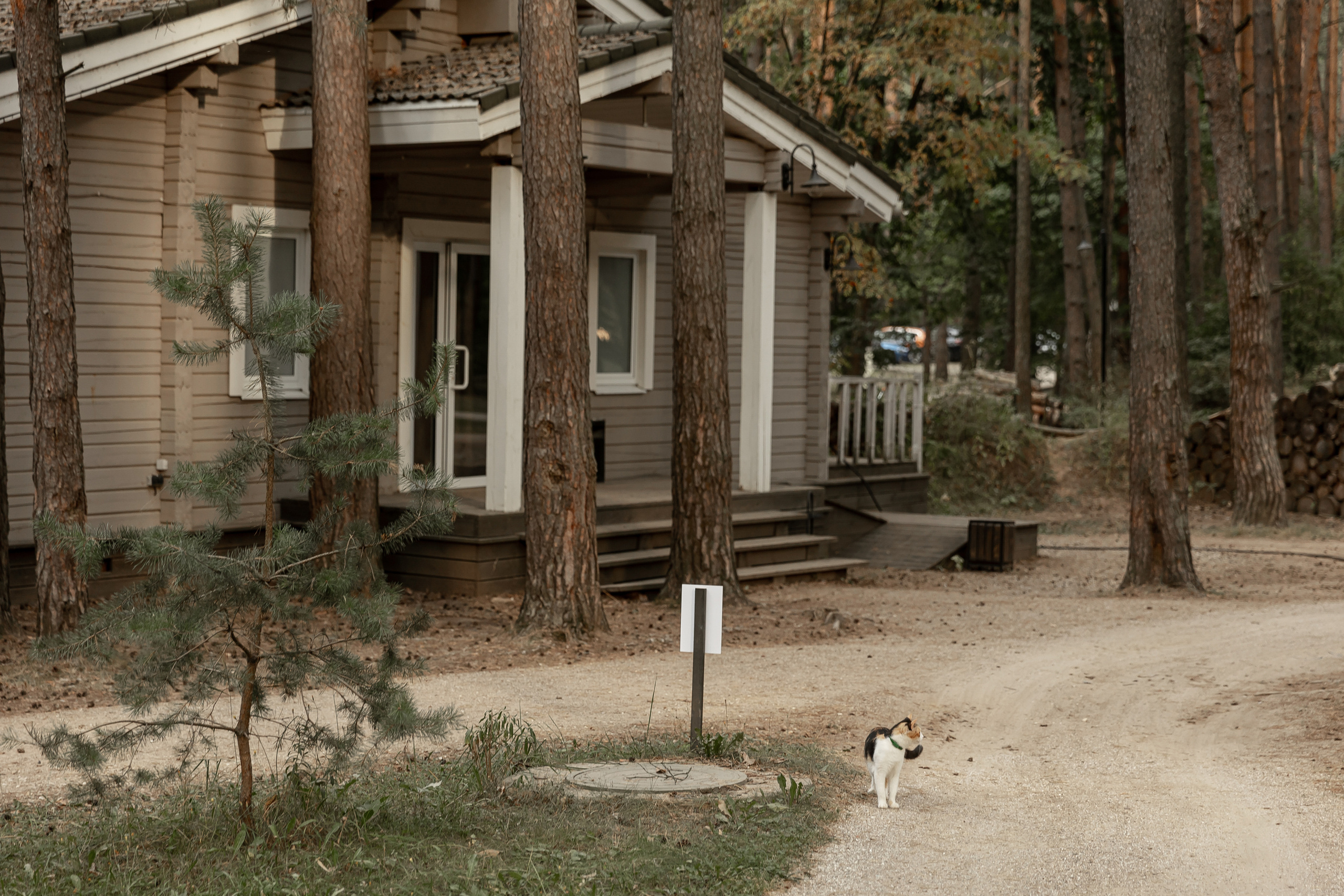 Wedding day Артем и Яна. Свадебный фотограф Колесников Антон