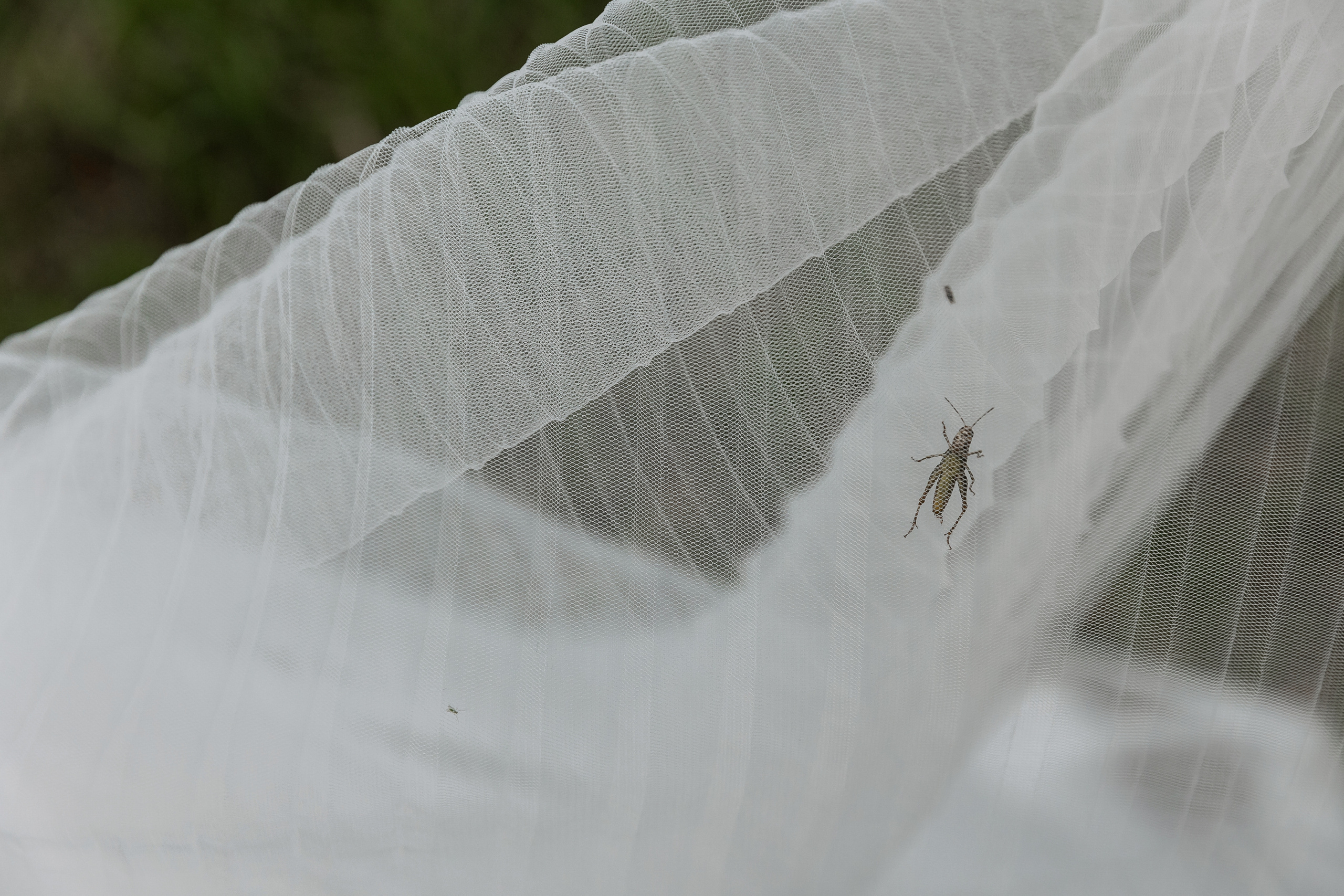 Wedding day Артем и Яна. Свадебный фотограф Колесников Антон