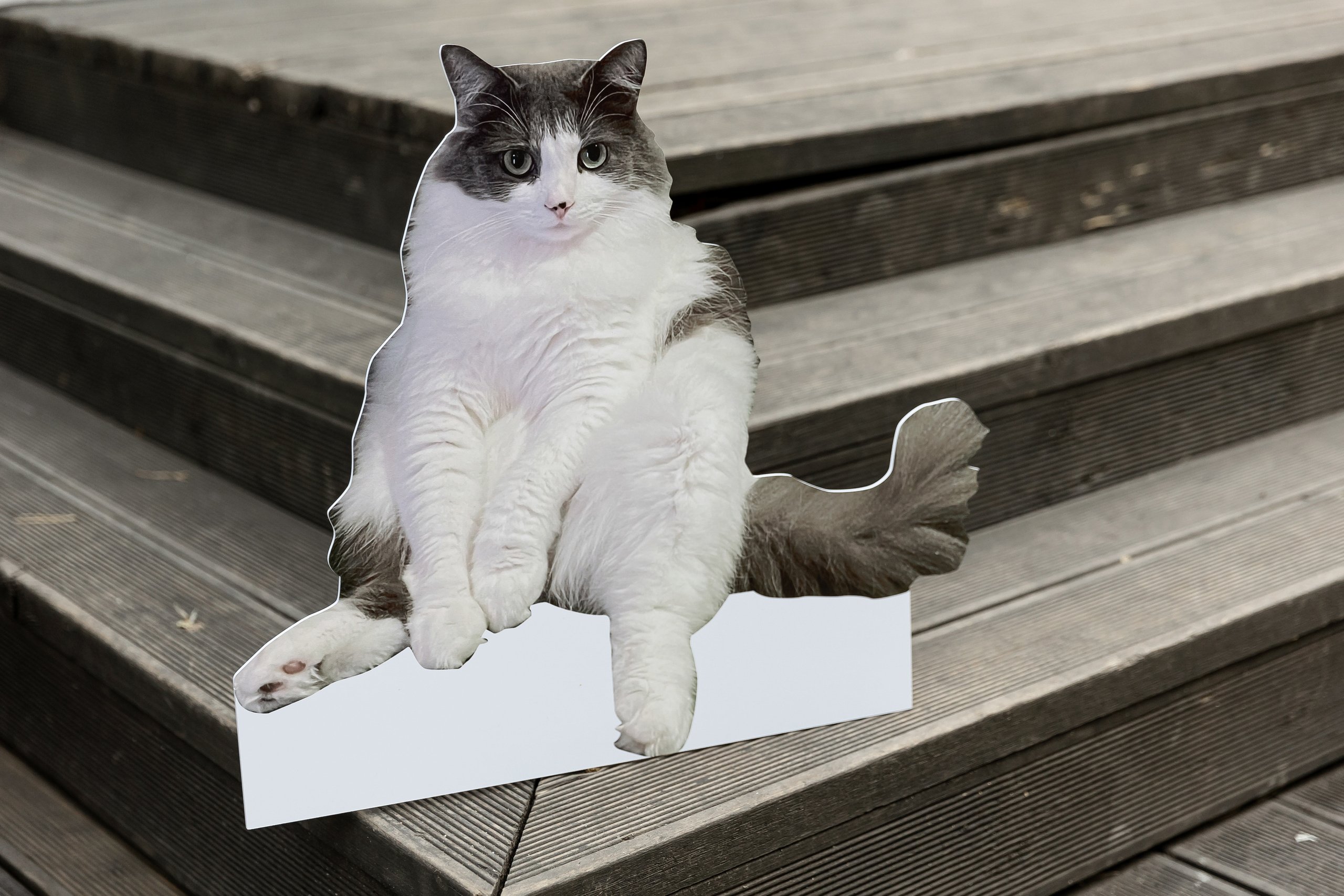 Wedding day Артем и Яна. Свадебный фотограф Колесников Антон