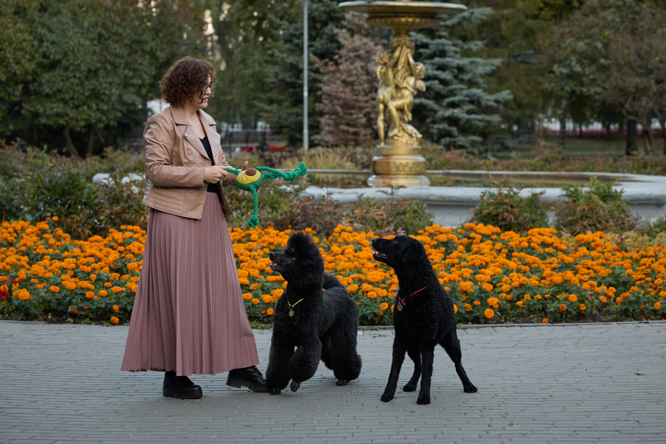 Альбина. Марфа и Мистик. Прогулка в парке. Фотограф анималист в Казани Алина Сулейманова. Фотограф животных