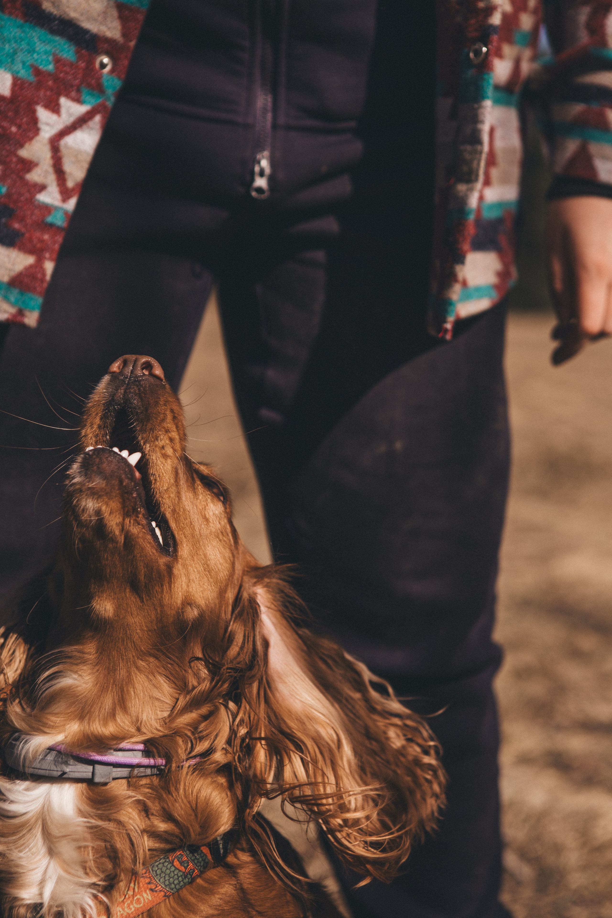 Julia & Jessie. Portrait, family and pet photographer in Cyprus, Ksenia Bourdelle