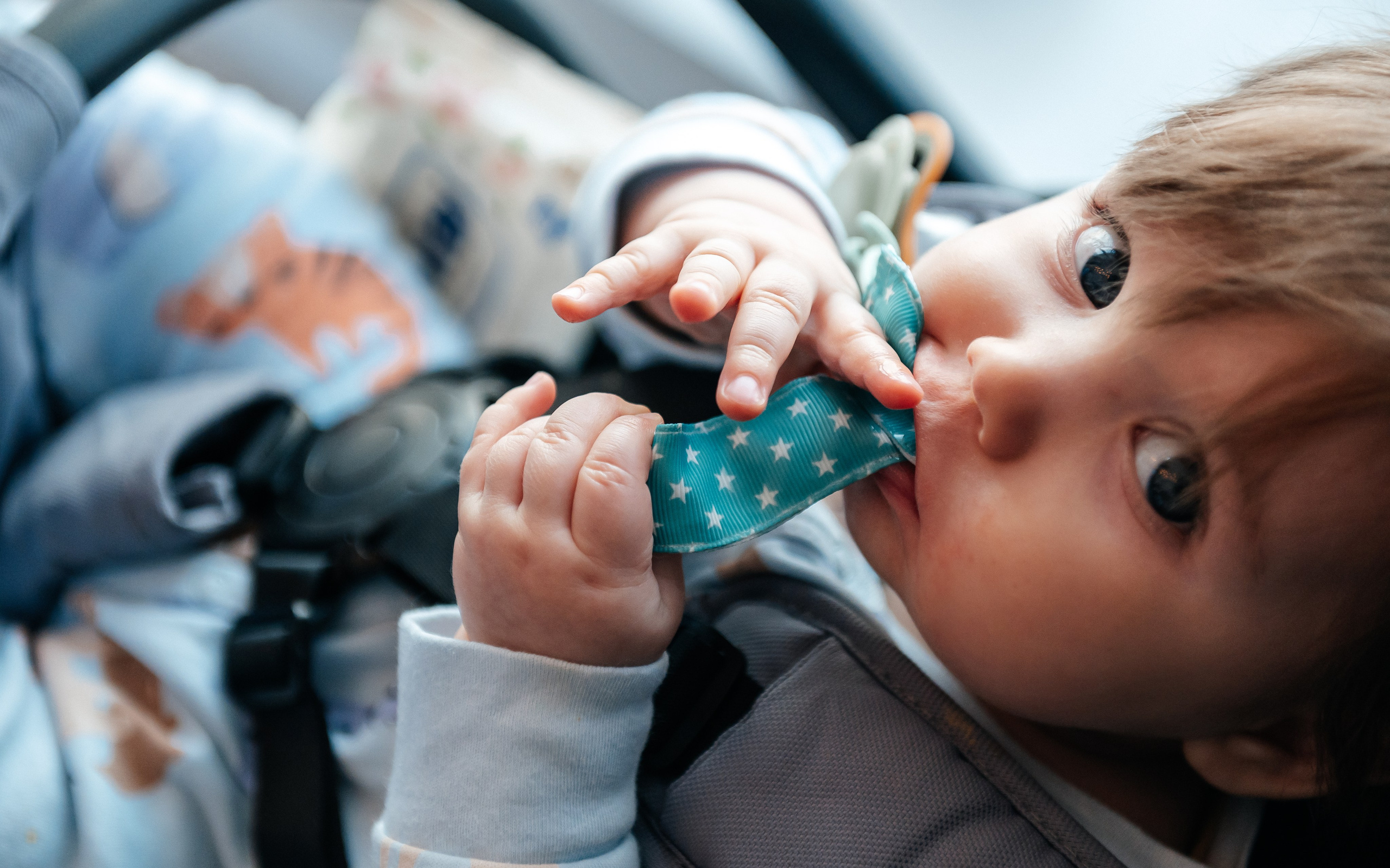 Александр и Юлия. Фотограф в Благовещенске Андрей Сенченко