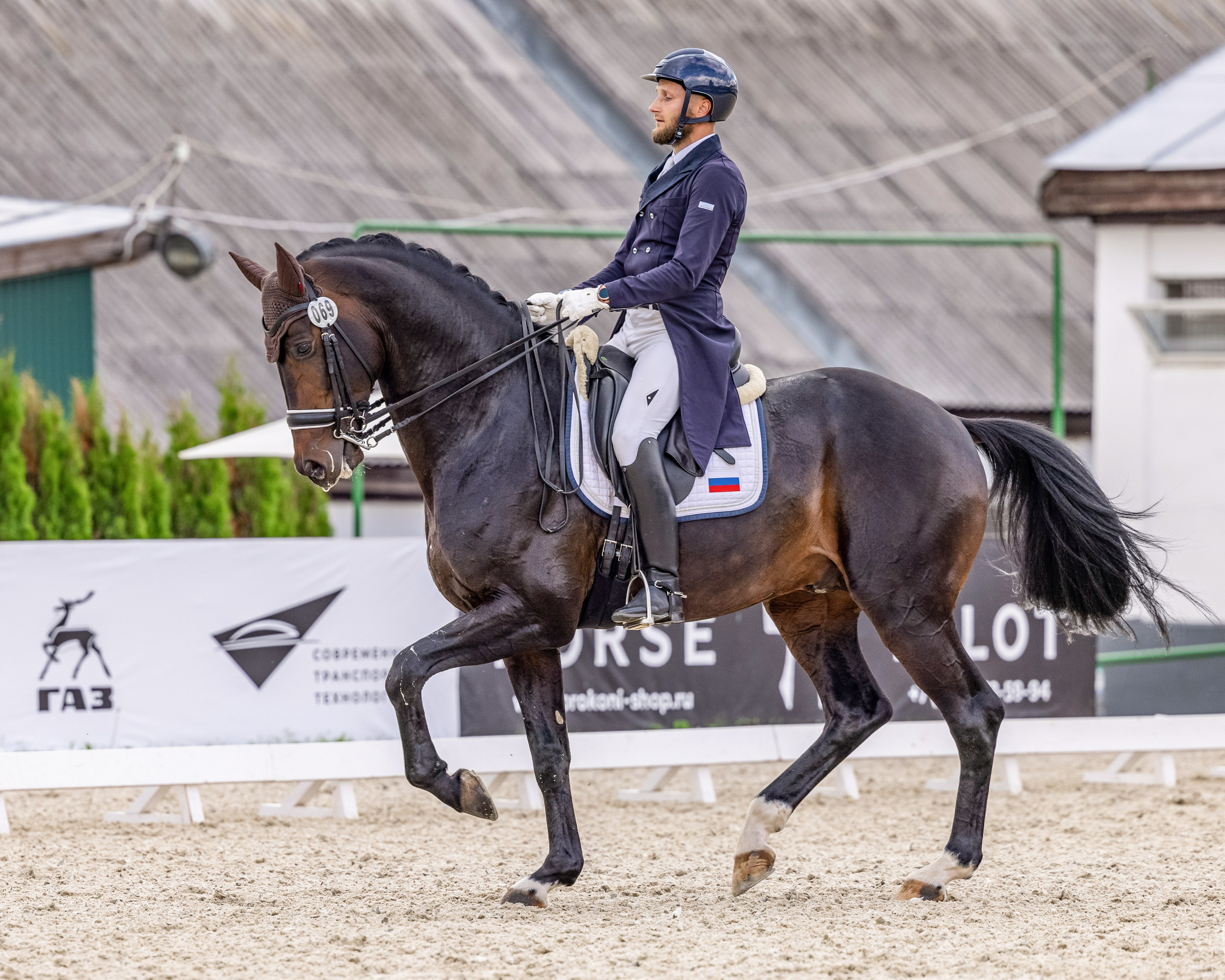 Выездка. Mrs.Aquarelia Конный фотограф Марианна Леонтьева