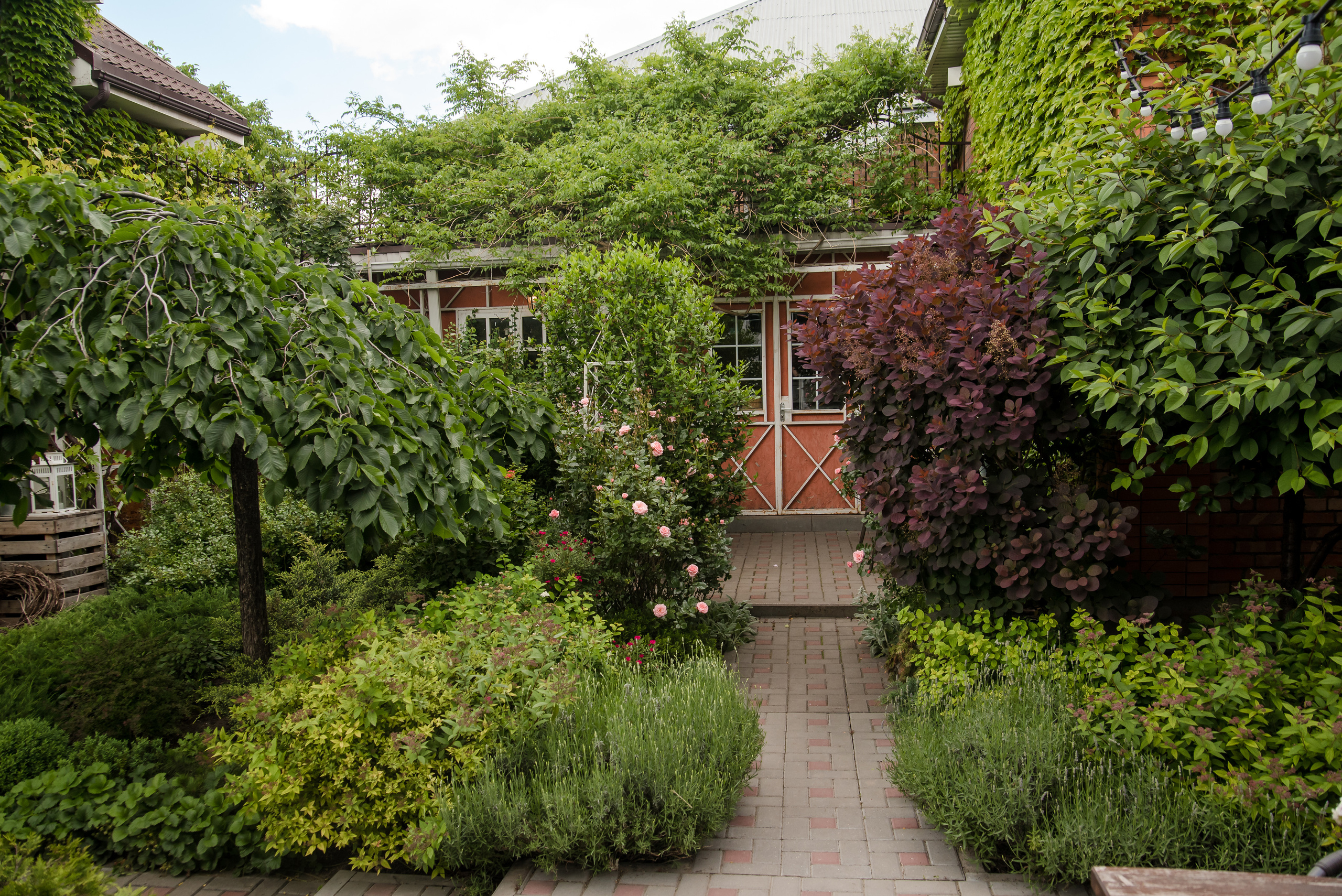 Грин Хаус (с 15 ноября Новый год). Женский фотограф в Ростове-на-Дону