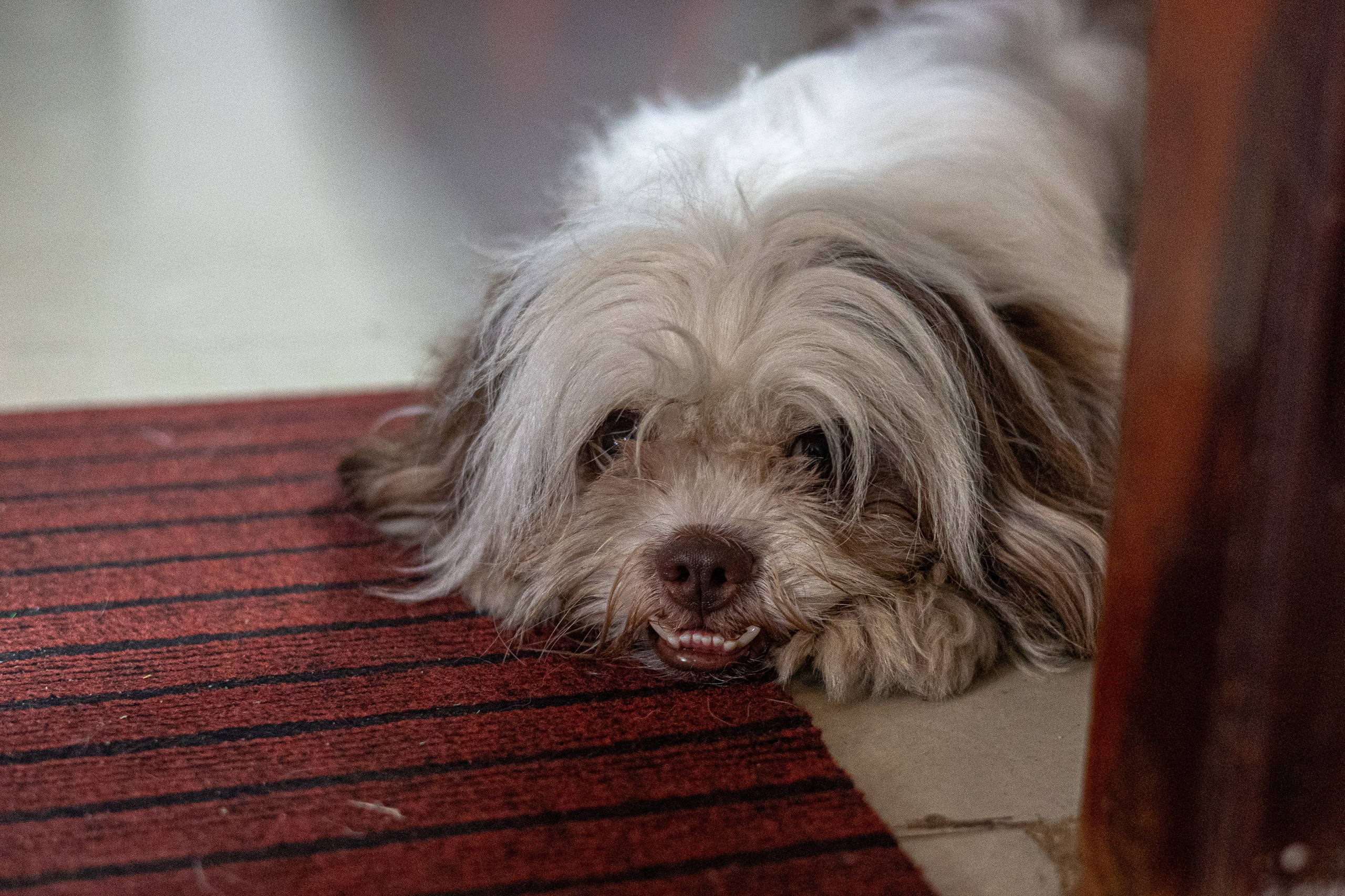 Weligama. Photographer Sonkina Tatiana (Tanya Ash)