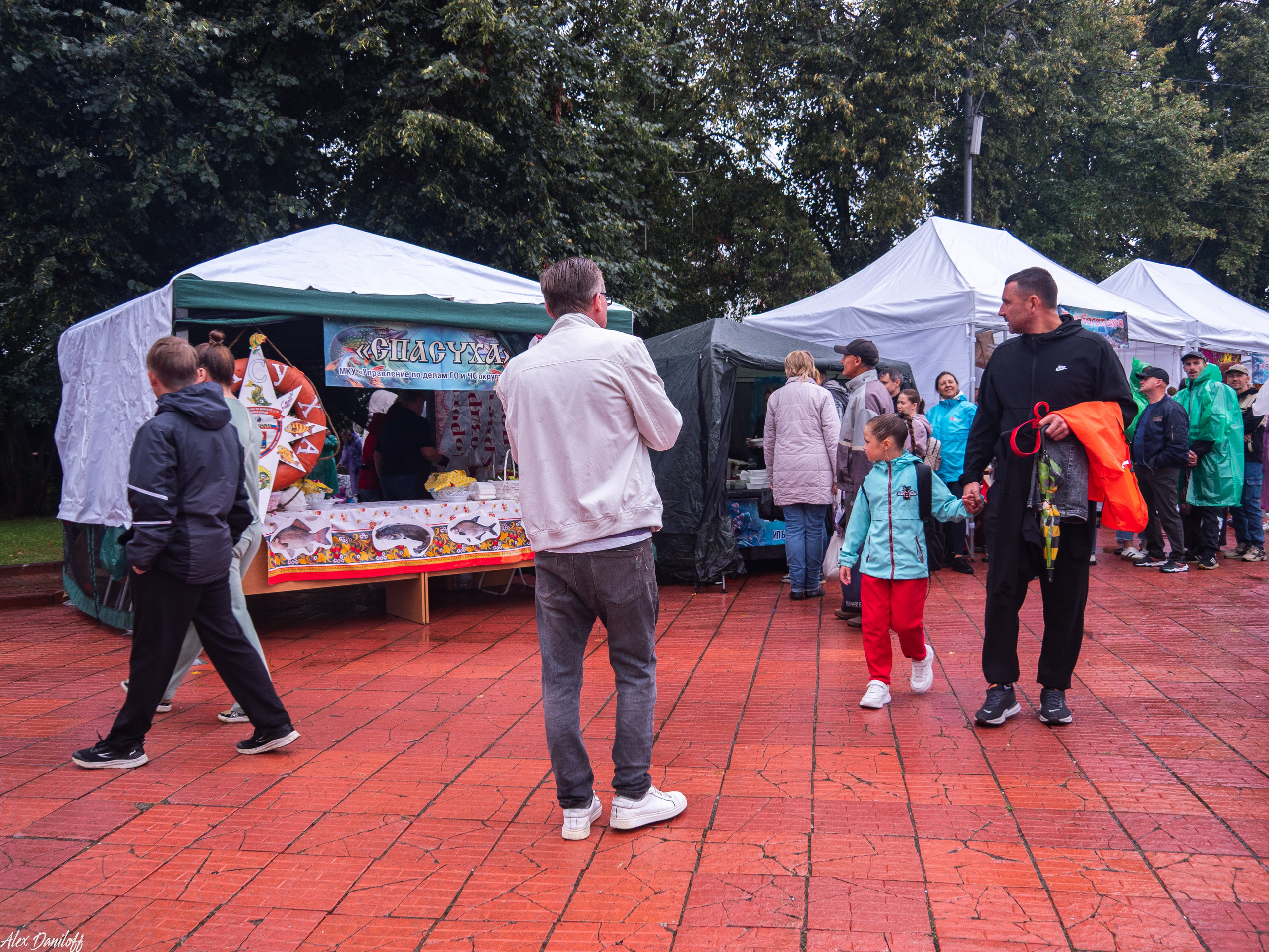 День города Муром 2025. Муром-Инфо. Новости культуры, образования, спорта в городе Муром