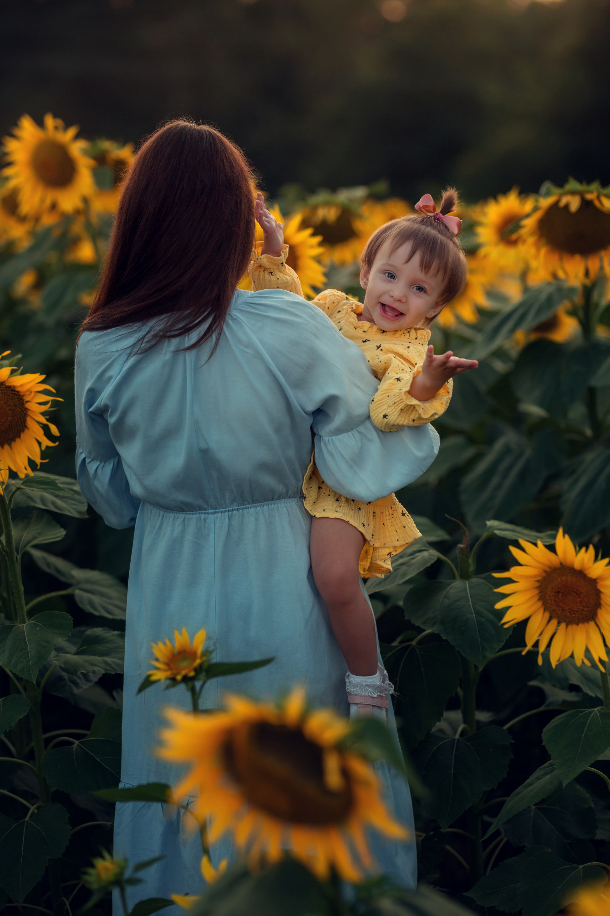 Подсолнухи. Семейный и детский фотограф Екатерина Савёлова