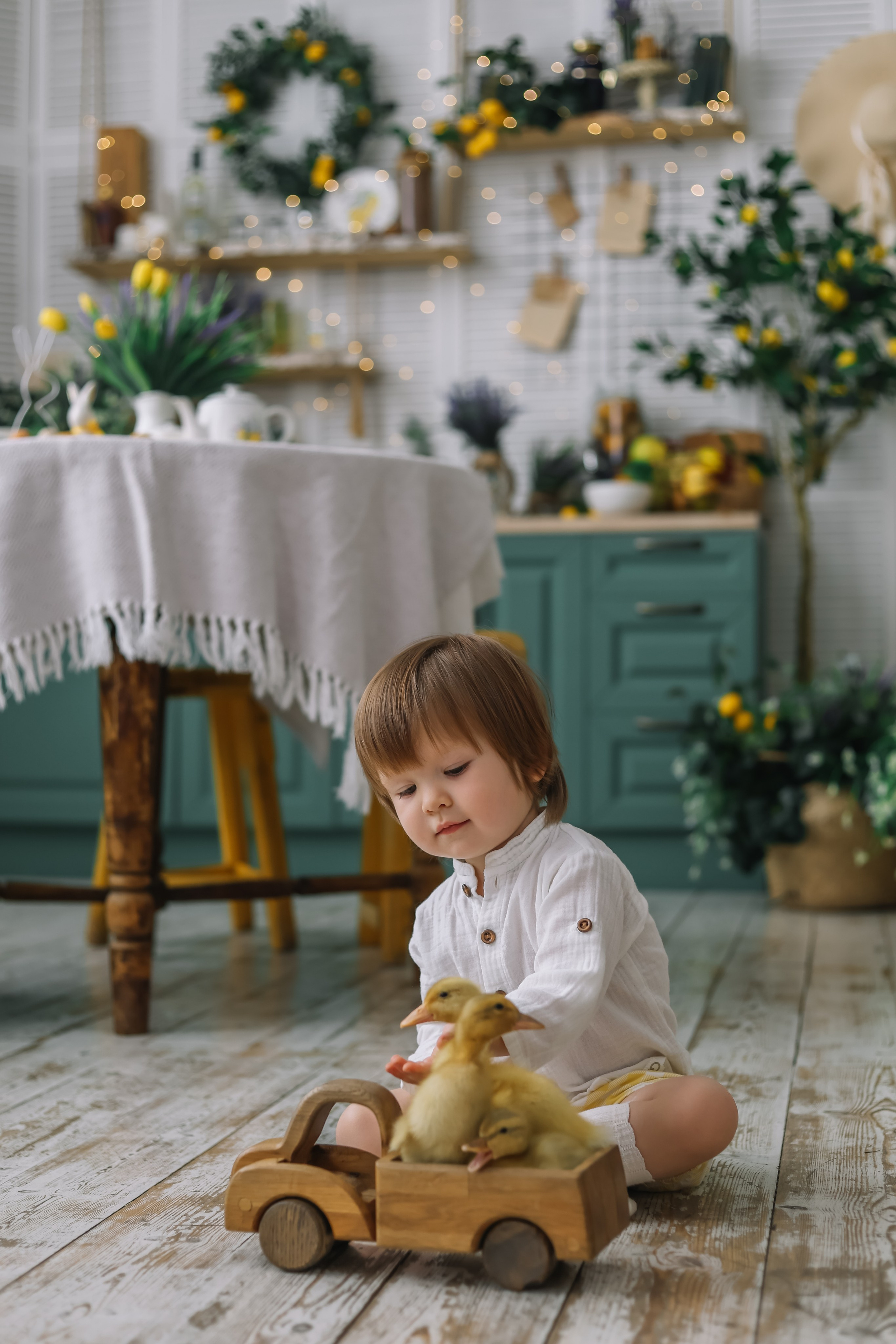 Утята. Фотограф и видеограф Анна Домашенко