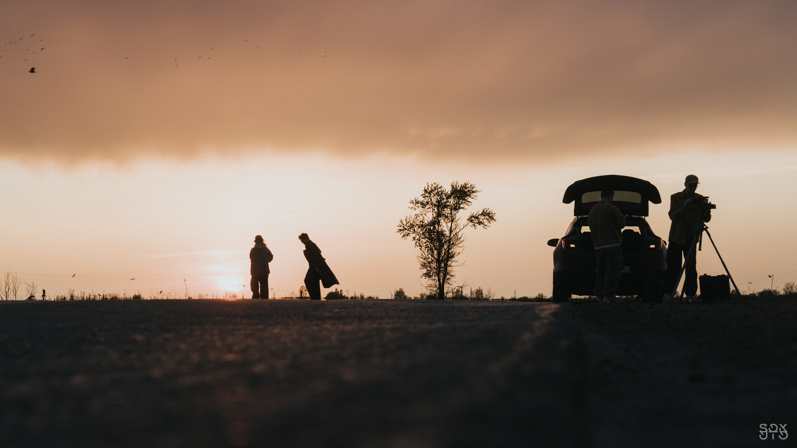 BAKED ROLL x Grad! ent