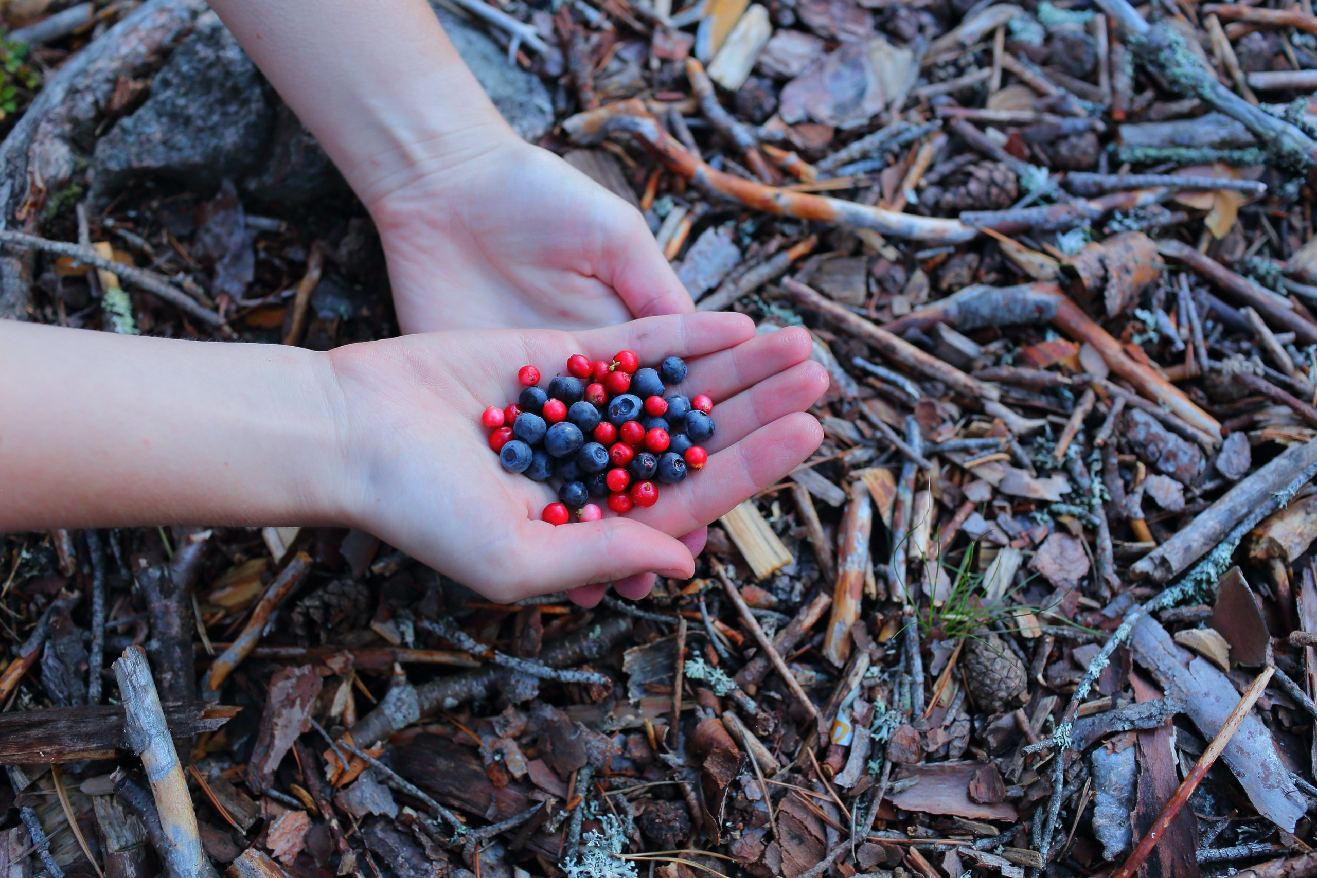 Ленинградская область — Карелия. Свадебный и репортажный фотограф в Ярославле и Санкт-Петербурге Роман Микрюков