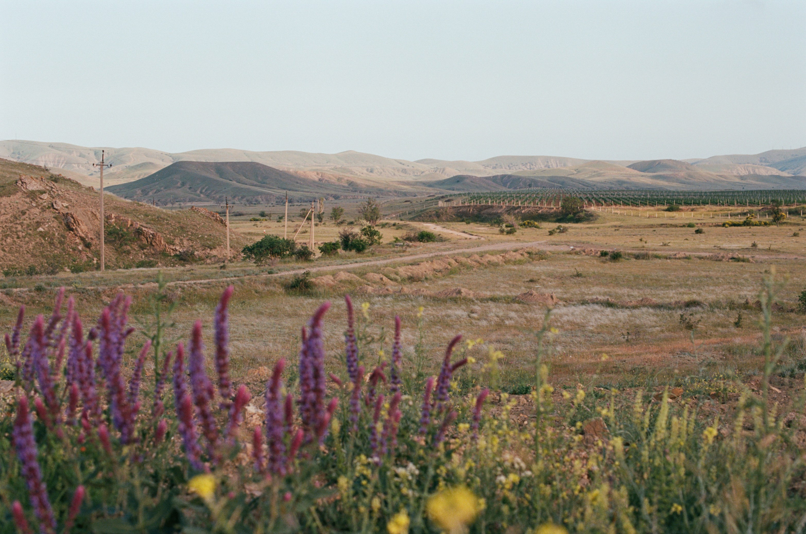 This time // ukraine, crimea IV. EVER EXPOSED