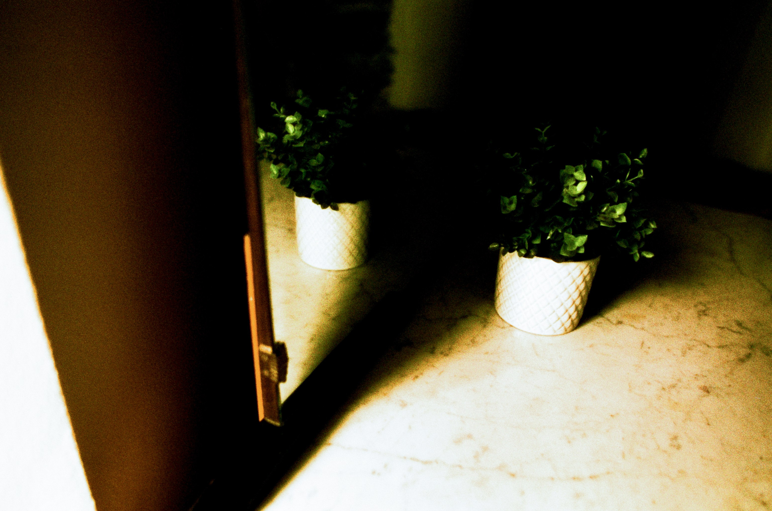 Moriro da re // sardinia, alghero. EVER EXPOSED