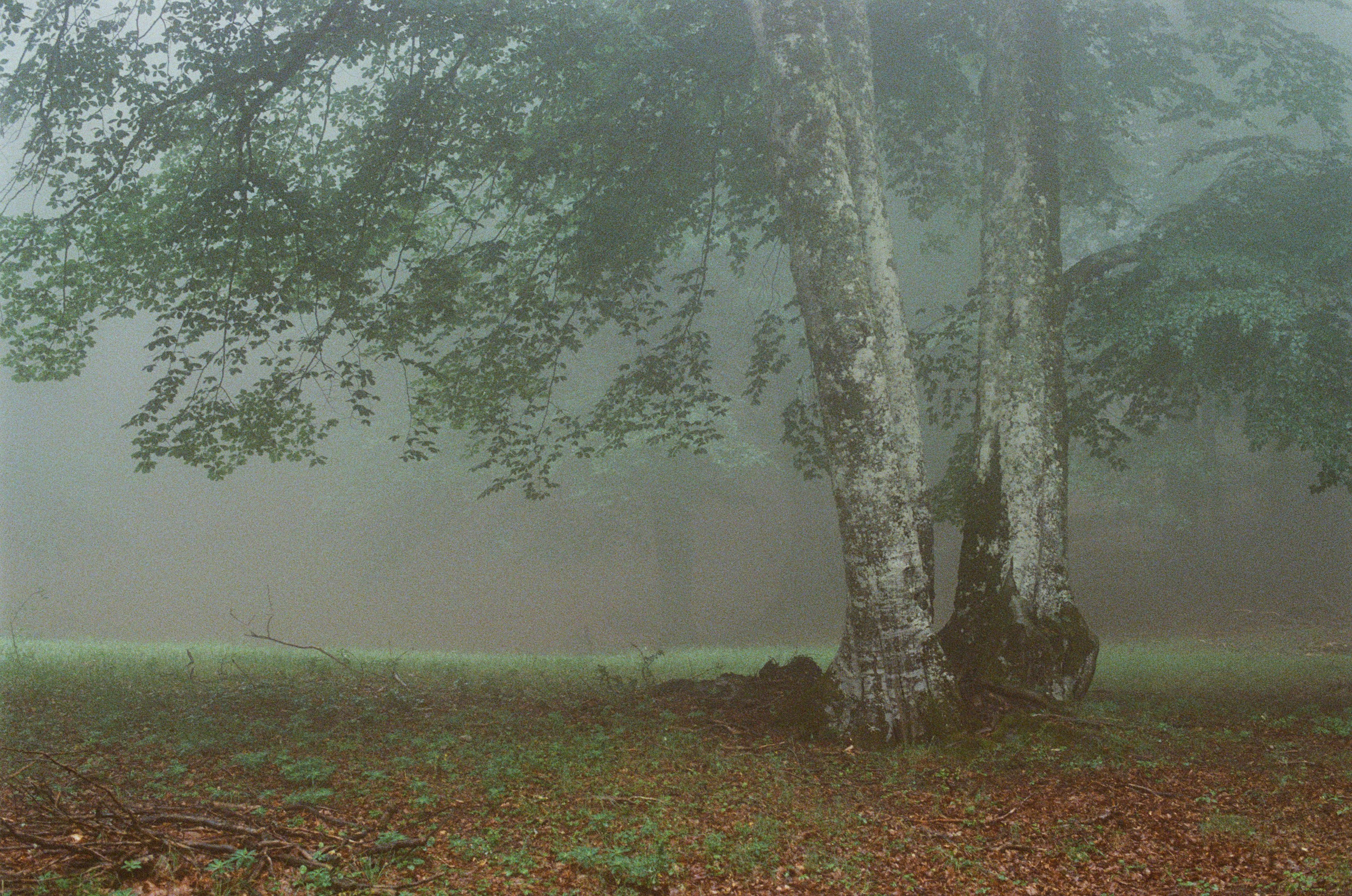 Dig it // ukraine, crimea II. EVER EXPOSED