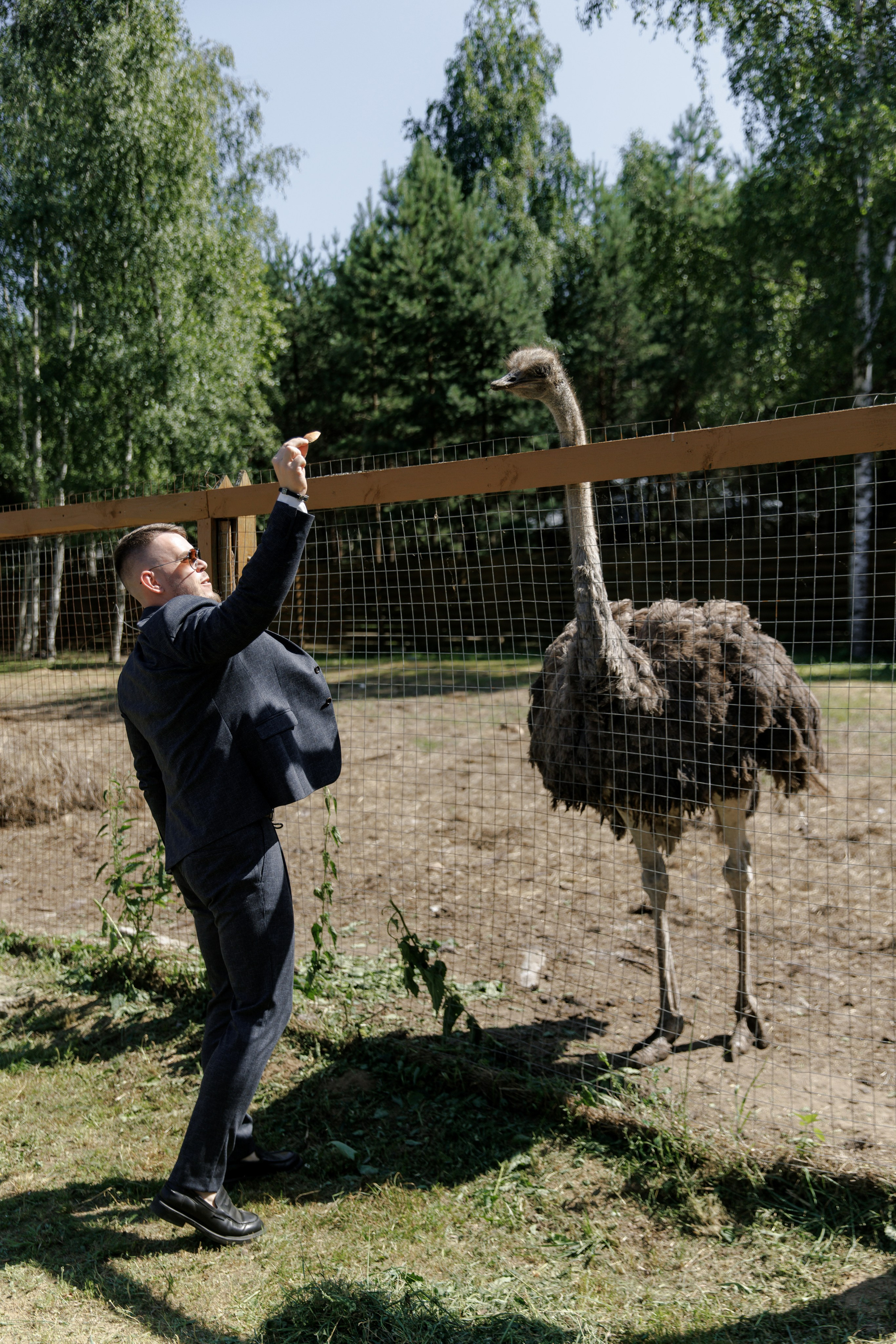 Денис и Настя. Свадебный фотограф в Москве, Ярославле Виталий Квант