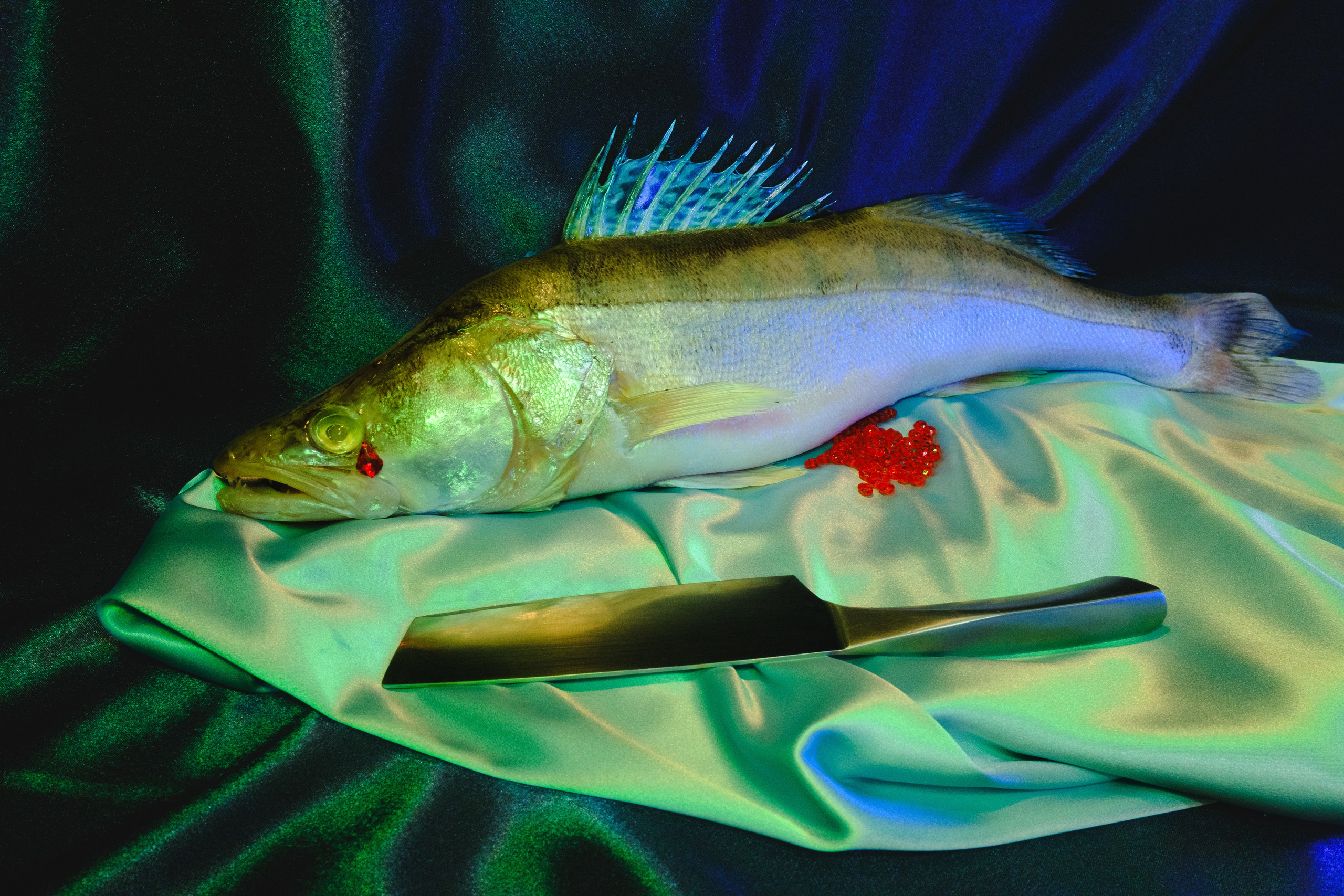 Курс «БОЛЬШОЙ И ГРОМКИЙ!». Университет по фотографии Игоря Мальцева