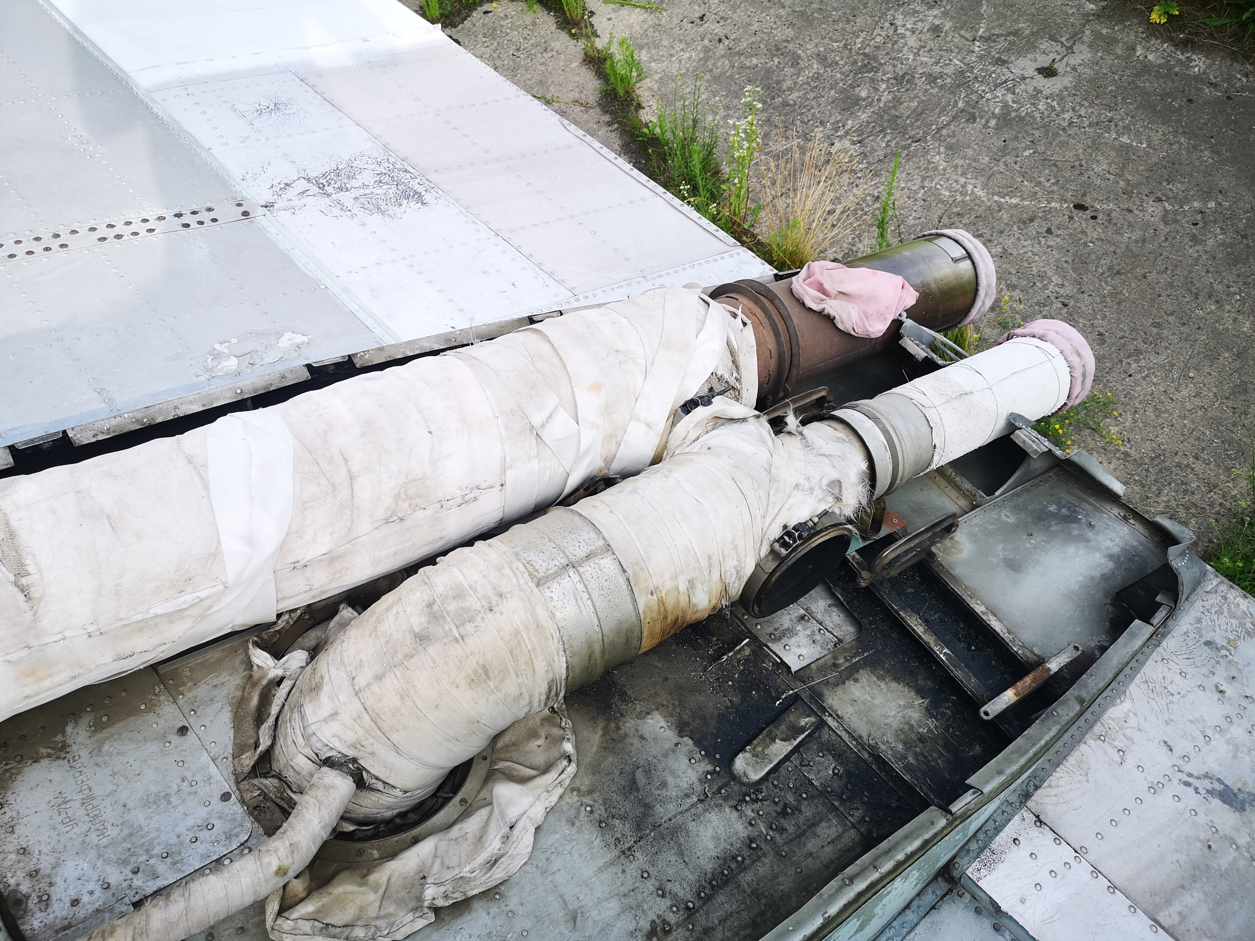 Ил-14Т «Голубая Мечта» (2020 г.). Фотоальбом показывающий увлекательный мир авиации и мир медведей Андрея Иванова