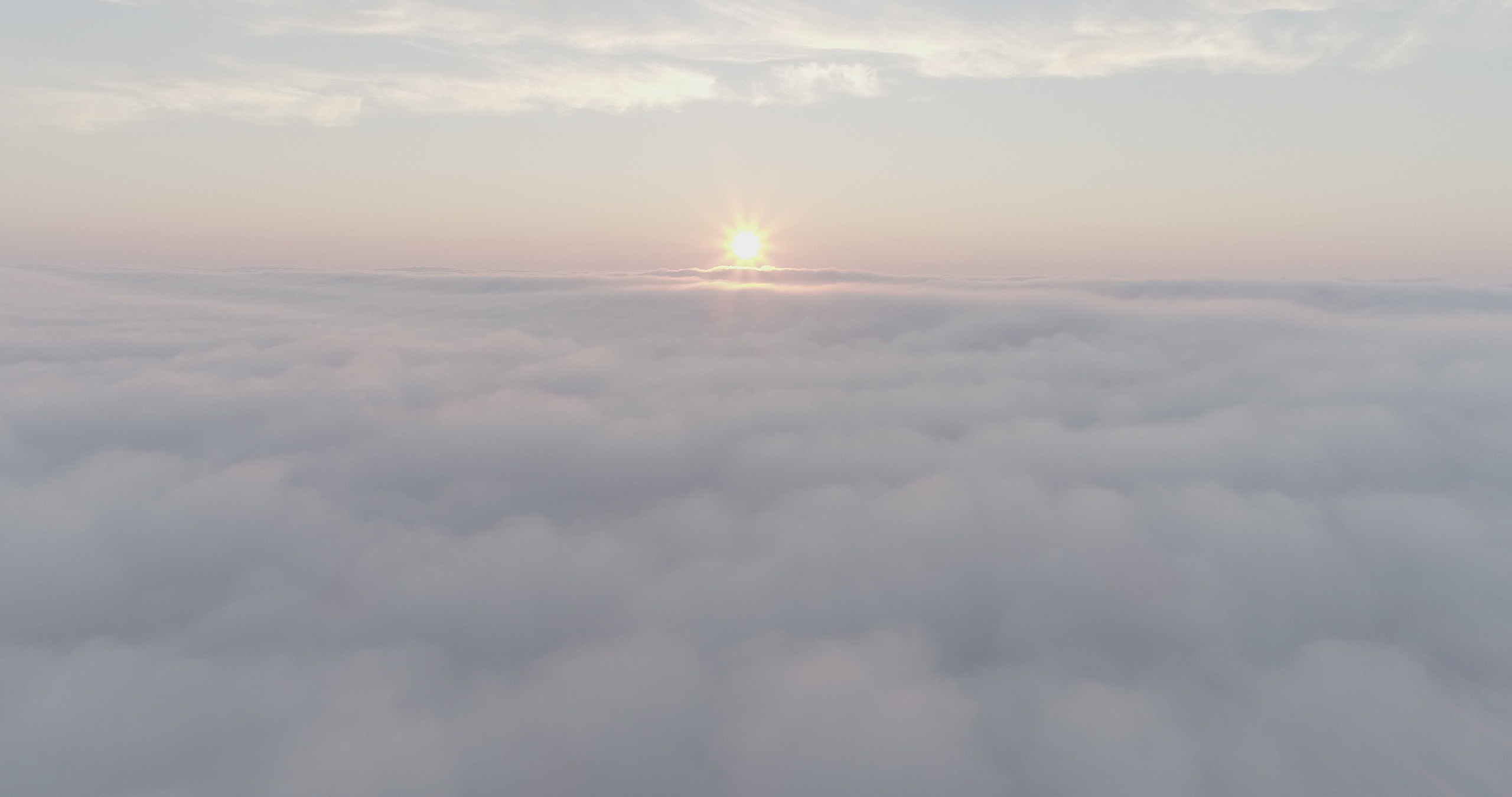 Амдерма — наука (2020 г.). Фотоальбом показывающий увлекательный мир авиации и мир медведей Андрея Иванова