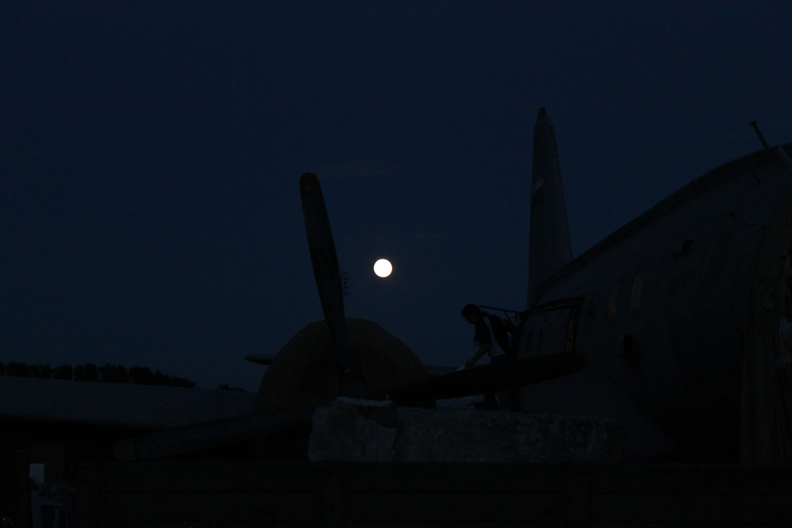 Ил-14Т «Голубая Мечта» работы в Тушино (2011 г.). Фотоальбом показывающий увлекательный мир авиации и мир медведей Андрея Иванова