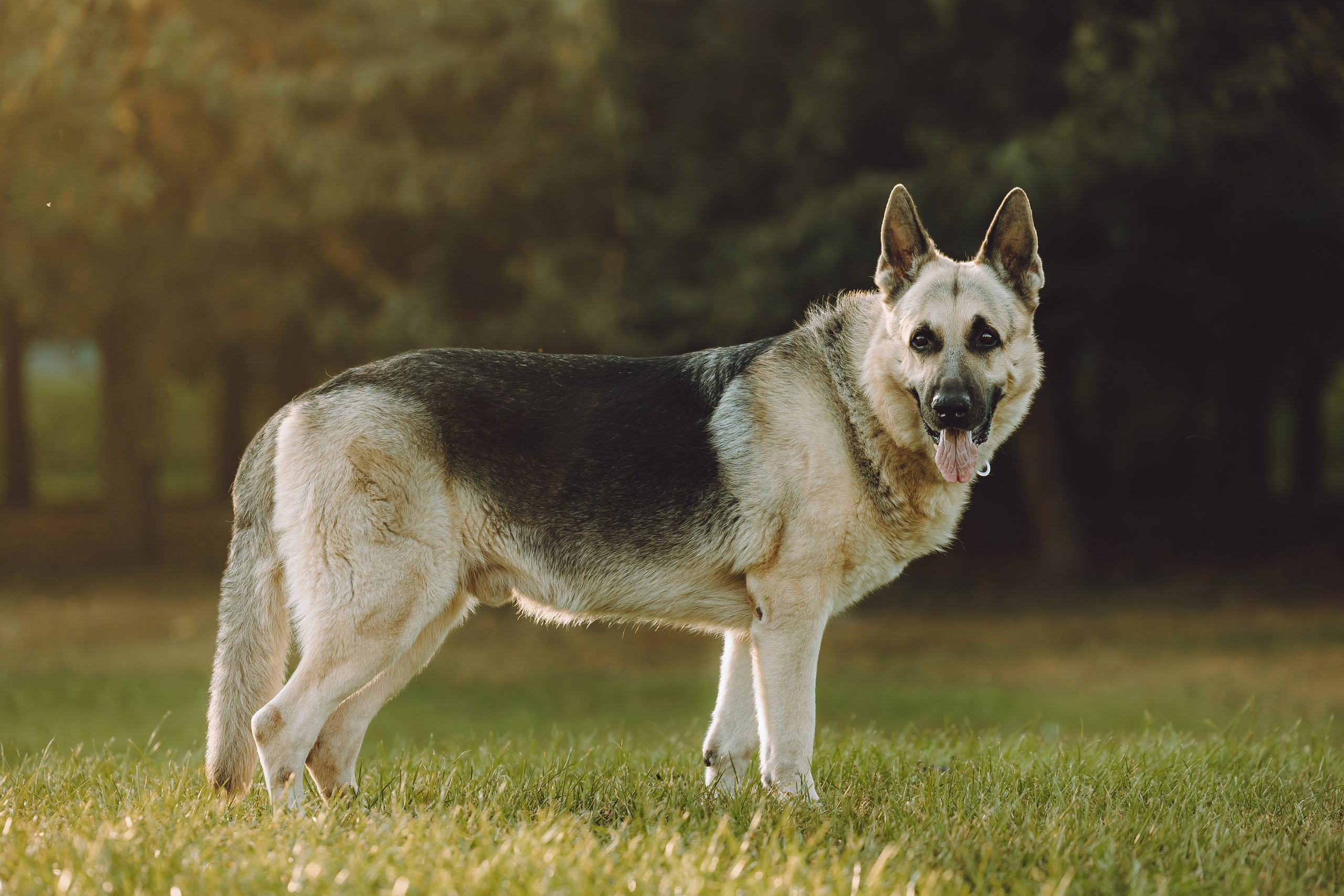 Кристина и все-все