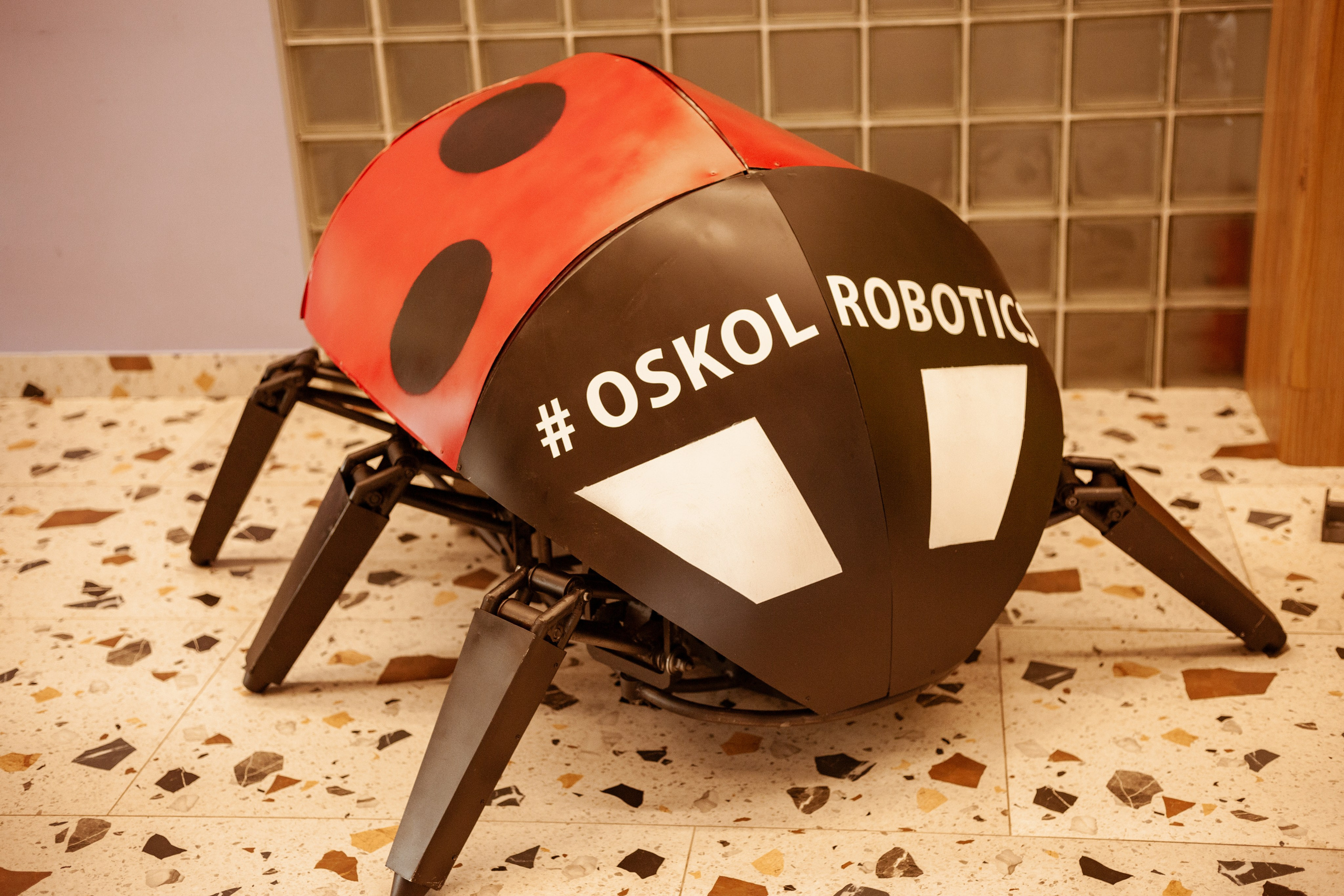 Oscol robotics, битва роботов и карьерный форум. Фотограф Старый Оскол Мавлыга Мария