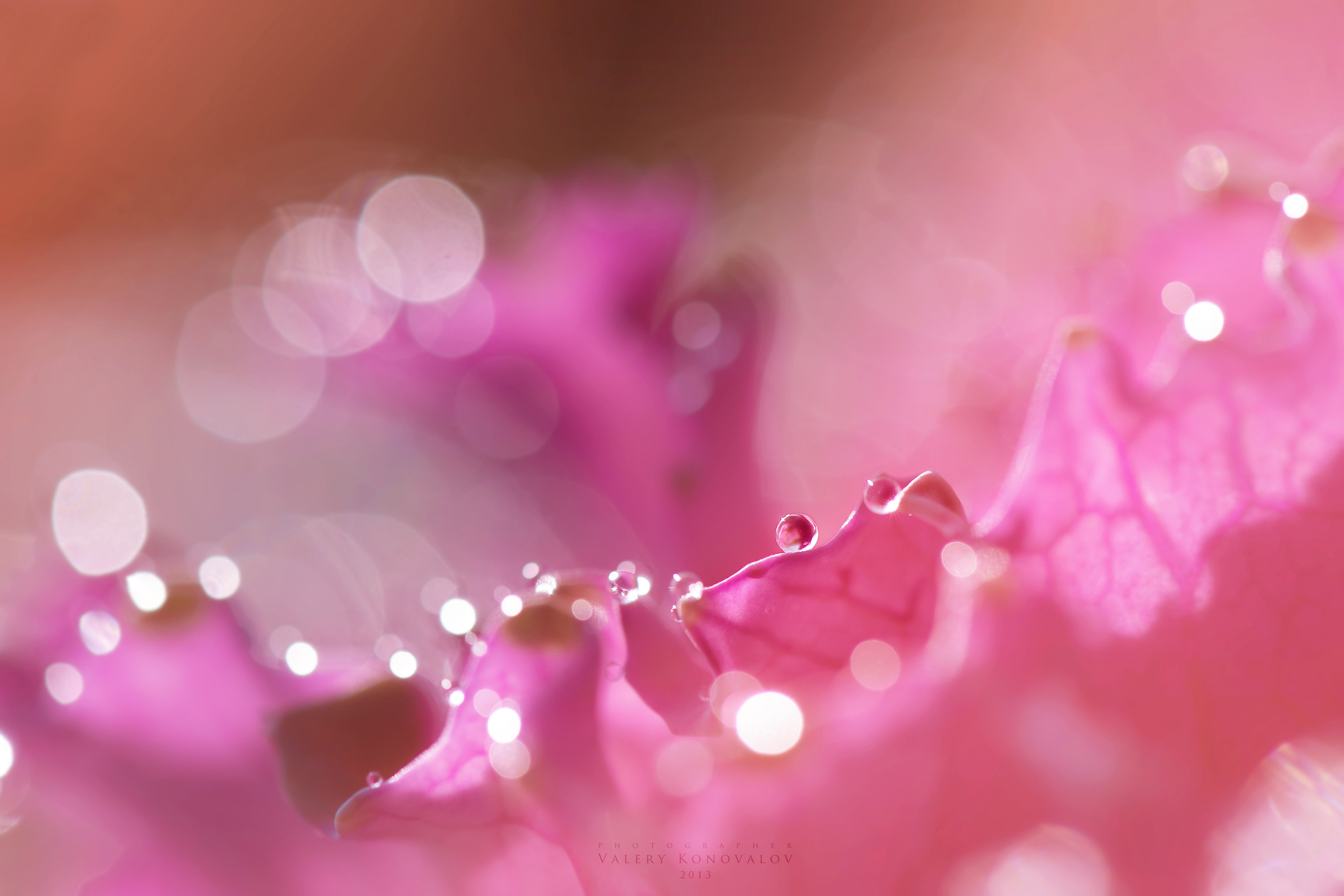 Макро съёмка