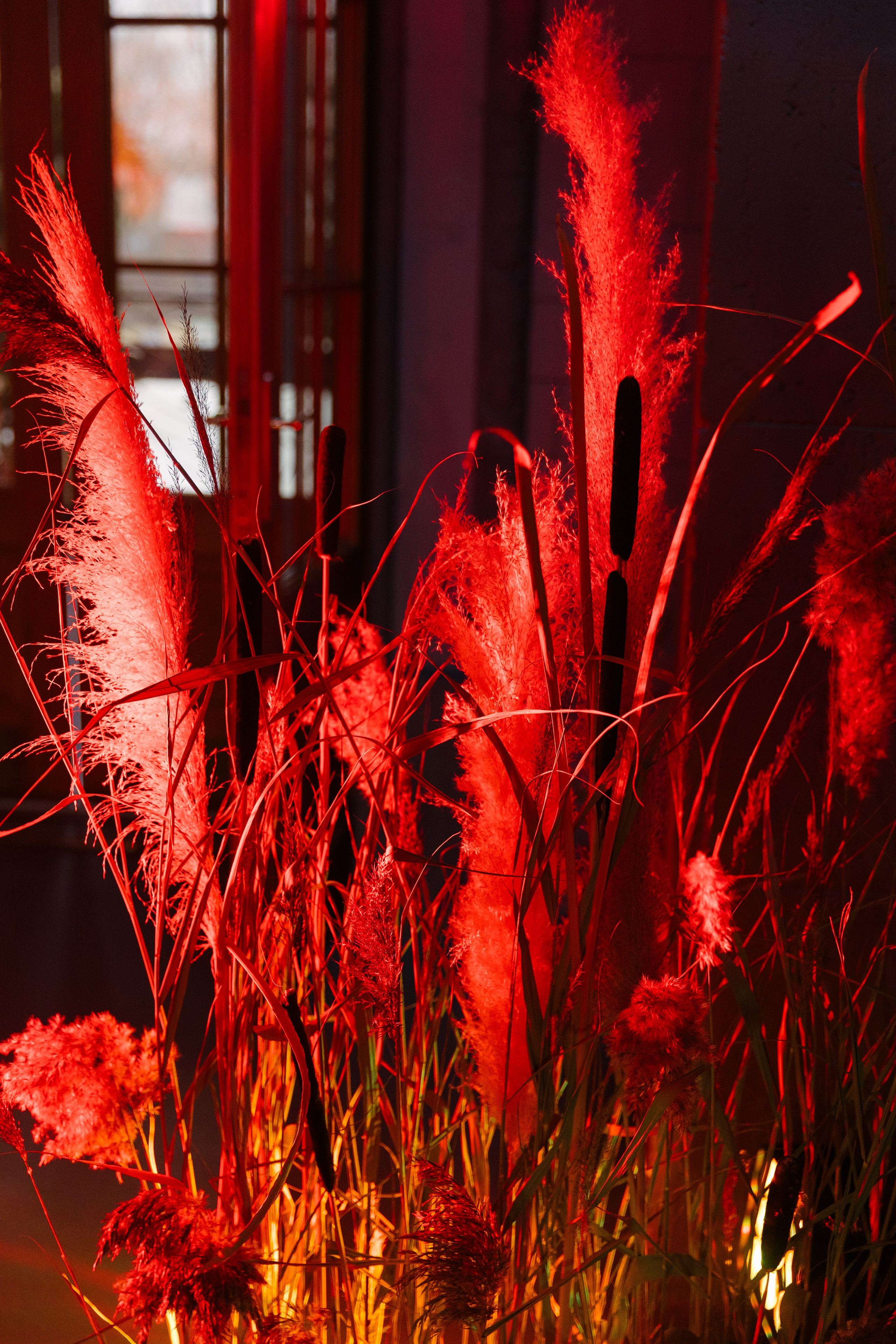 МЕГАДЕВИЧНИК 8 марта. Портфолио свадебного фотографа. Роман Каргаполов