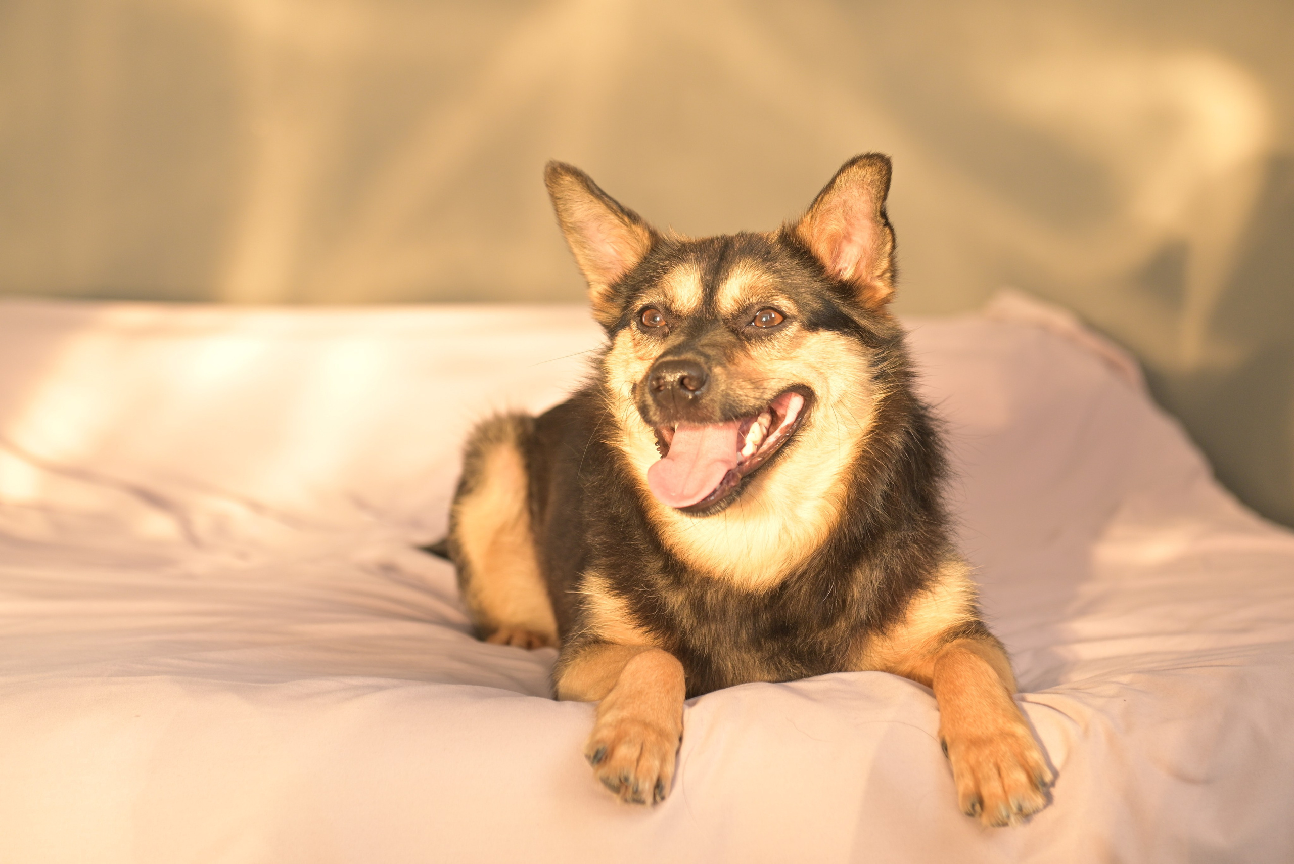 Отзывы. Фотограф в Волгограде и области Анастасия Фролова