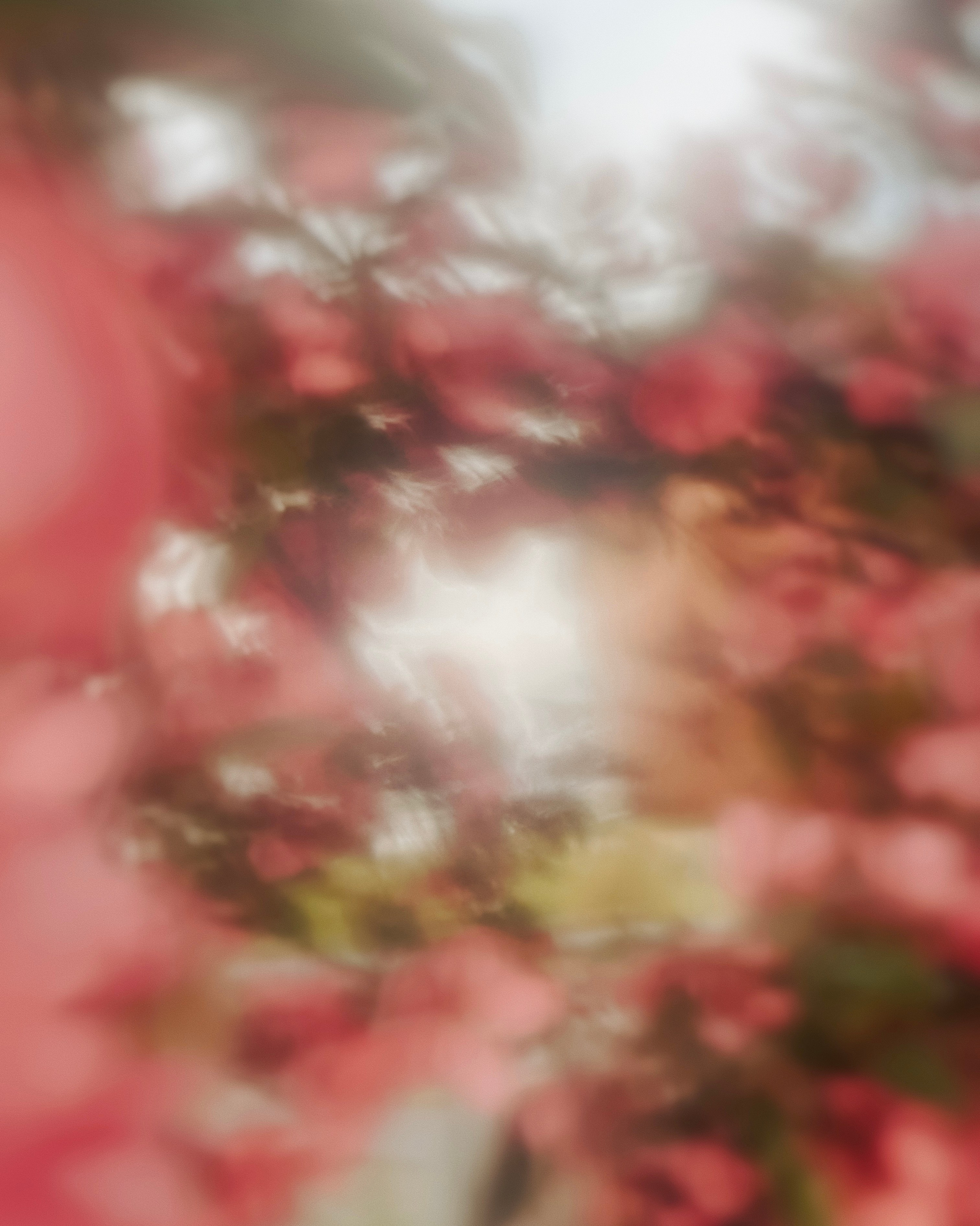 HELLO LIGHT. Uvaliss | Alice Feer