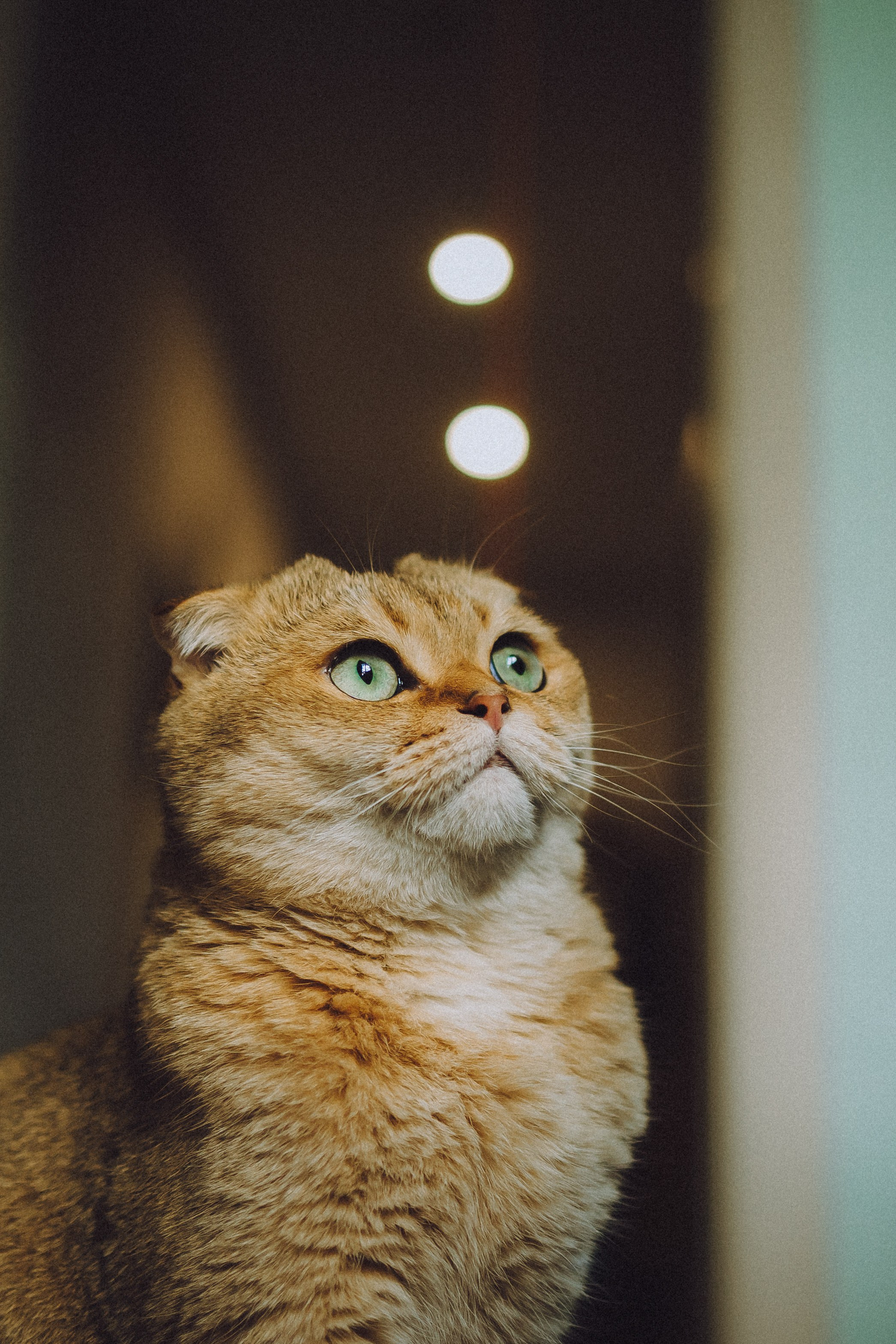 Генри и его семья