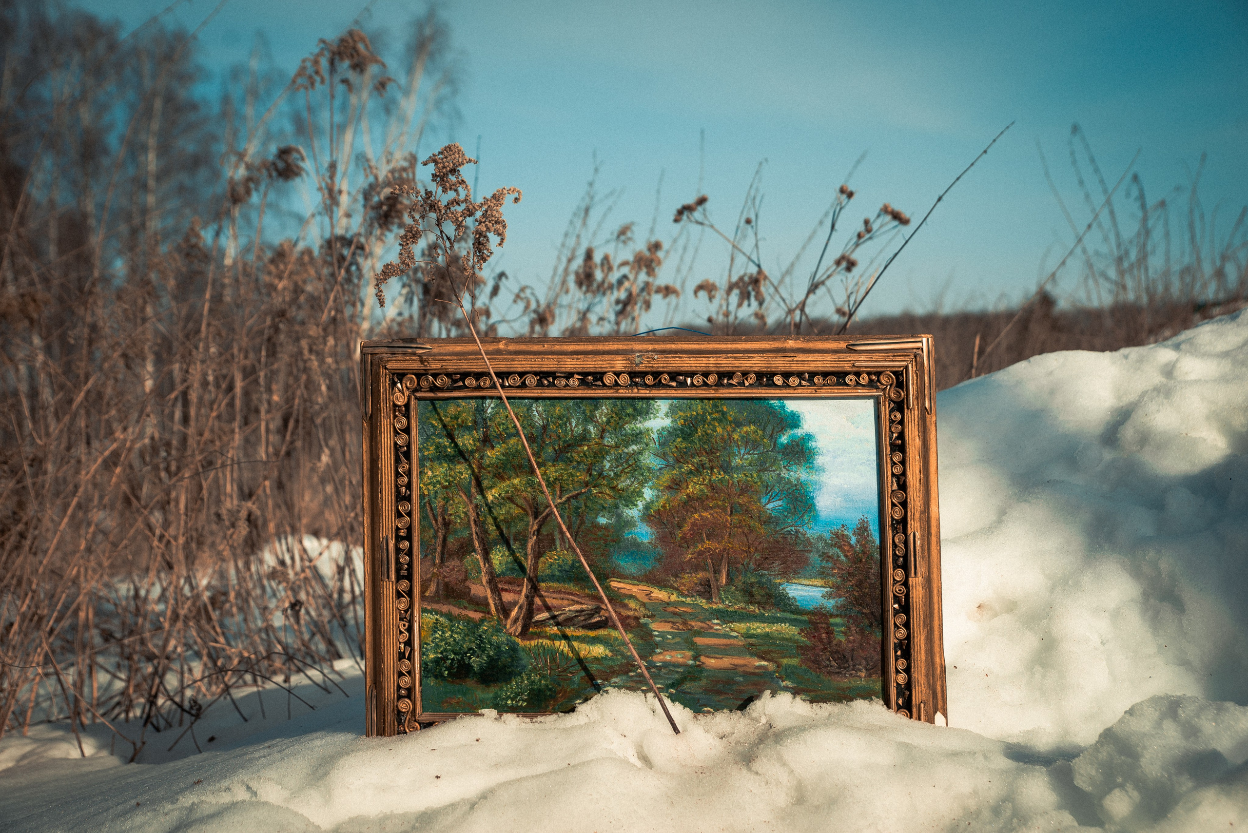 Маша и Миша. Фотограф Крещение Венчание Москва